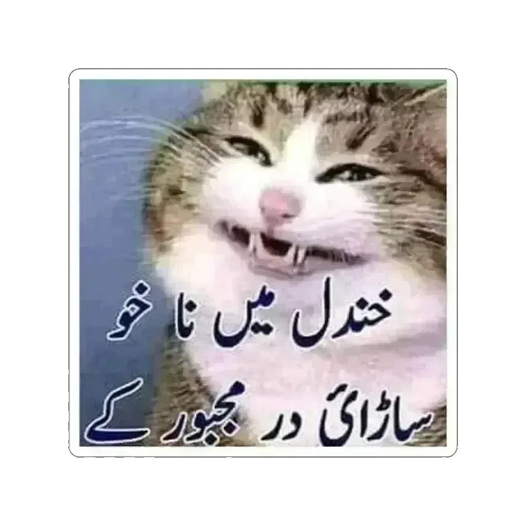 Tiktok Pashto Funny Memes Faisu Adnaan Mr Faisu 07 Tik Tok Funny