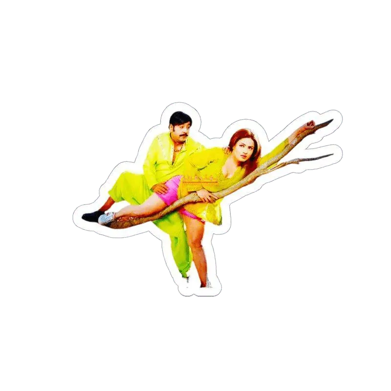 Shahid and Sono Pashto Film Sticker – KHAJISTAN™