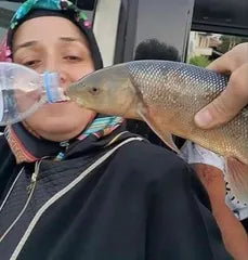 A Graduate Study of the Khajistan Archive