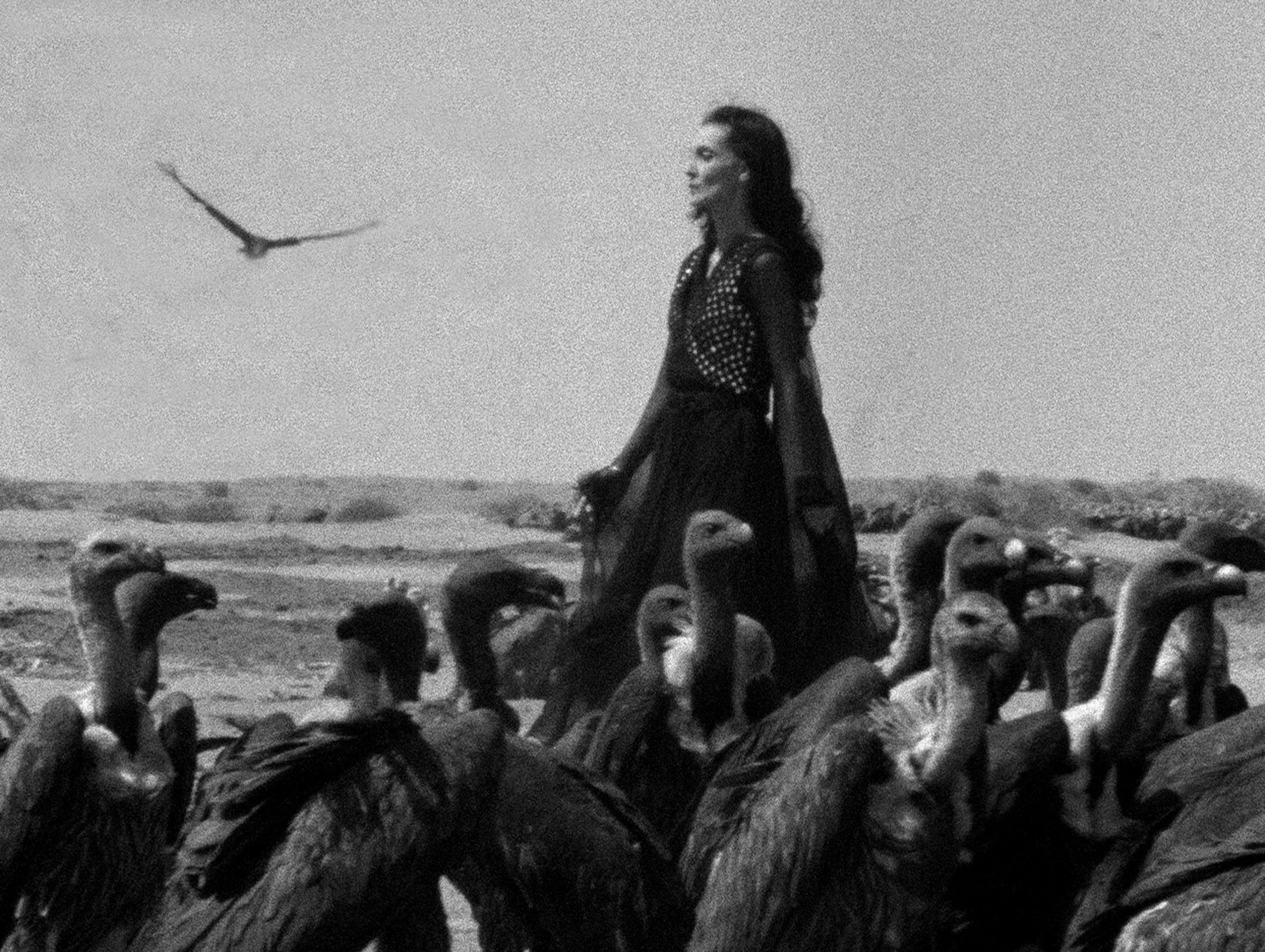 Black and white scene of a woman standing among vultures in a barren landscape, Khajistan archive