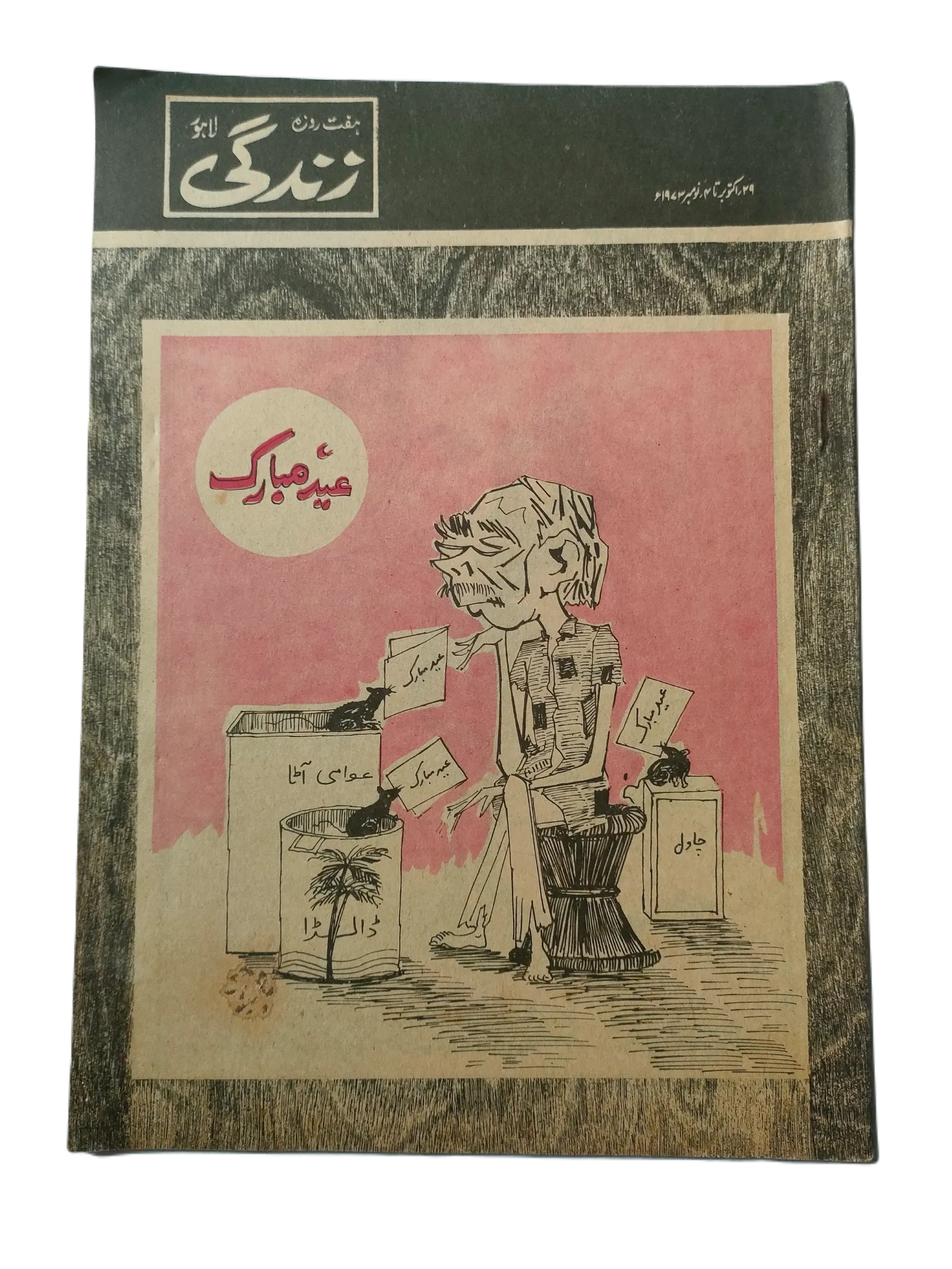 154 Issues of Weekly Zindagi (1969-1979, Lahore, Urdu) - KHAJISTAN™