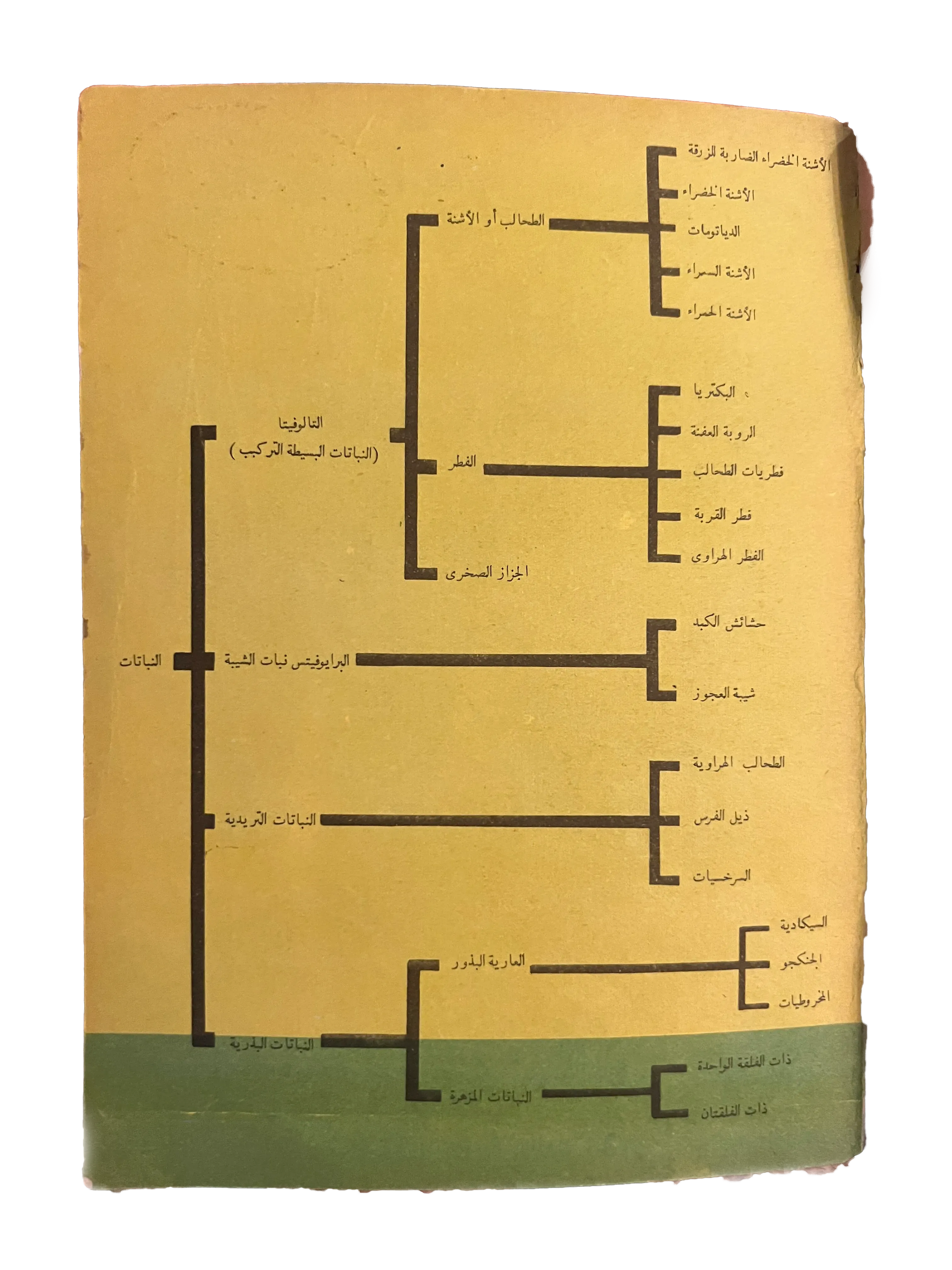 1964 Alam al-Nabat (The World of Plants) - KHAJISTAN™