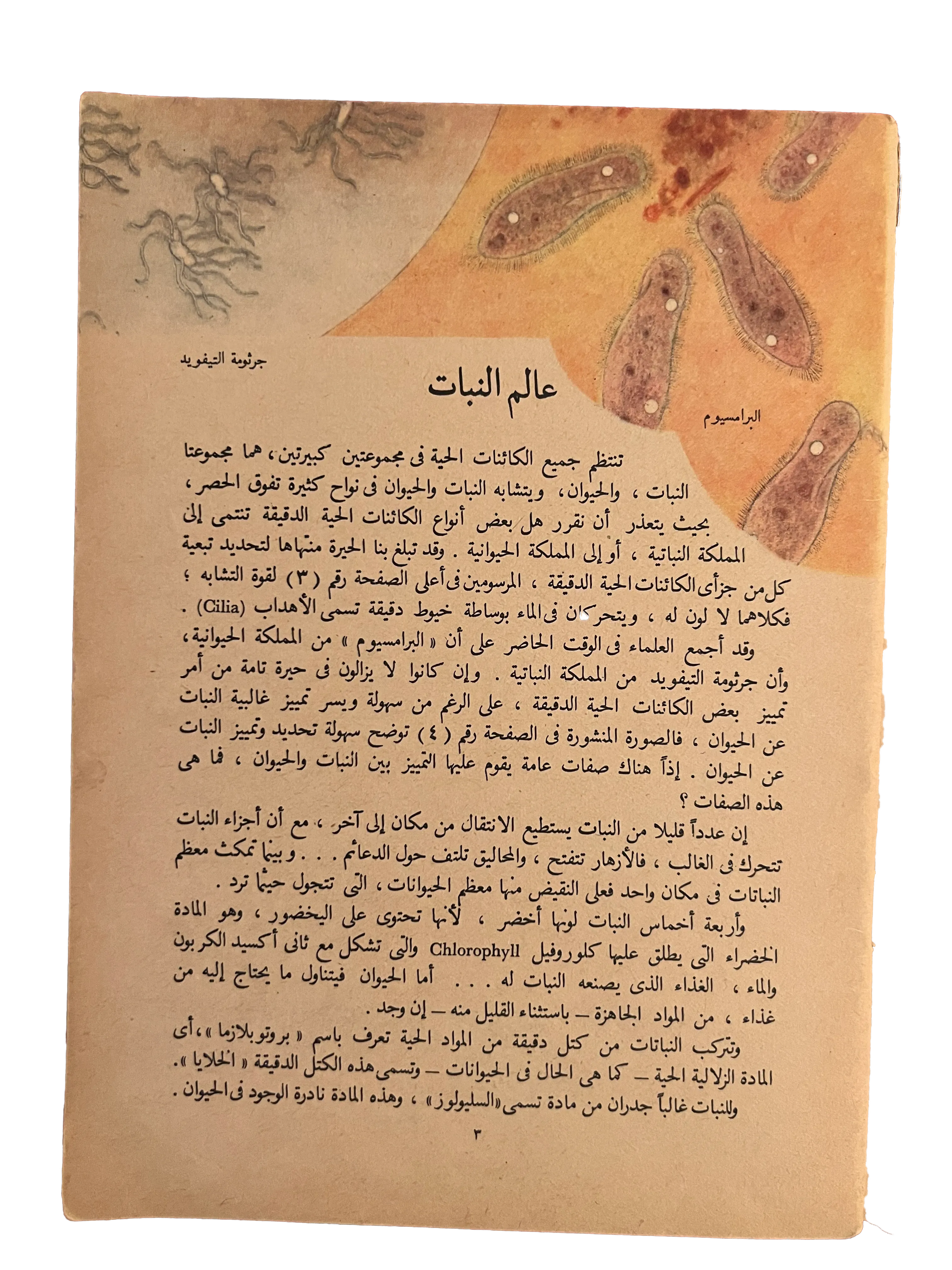 1964 Alam al-Nabat (The World of Plants) - KHAJISTAN™