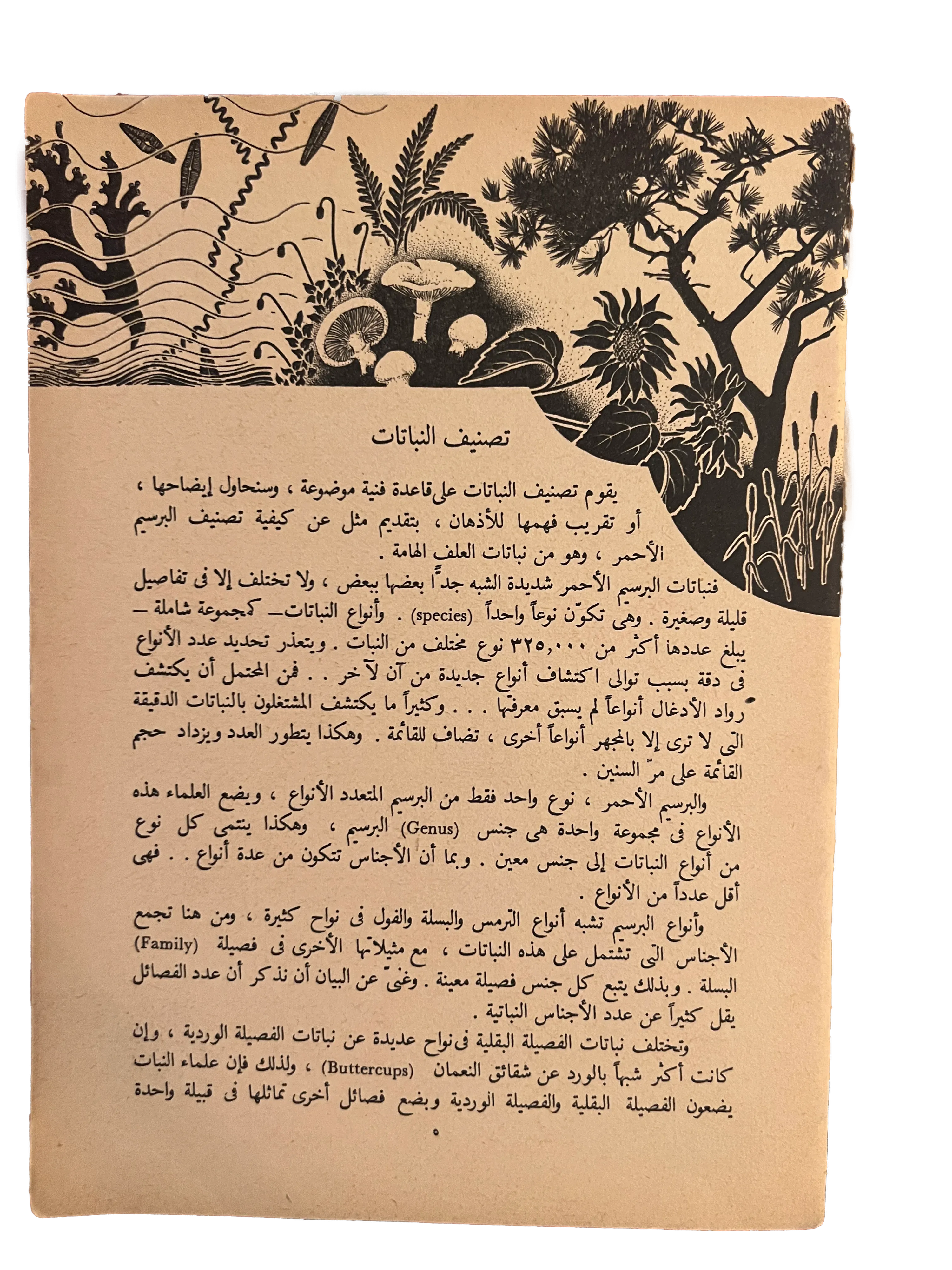 1964 Alam al-Nabat (The World of Plants) - KHAJISTAN™