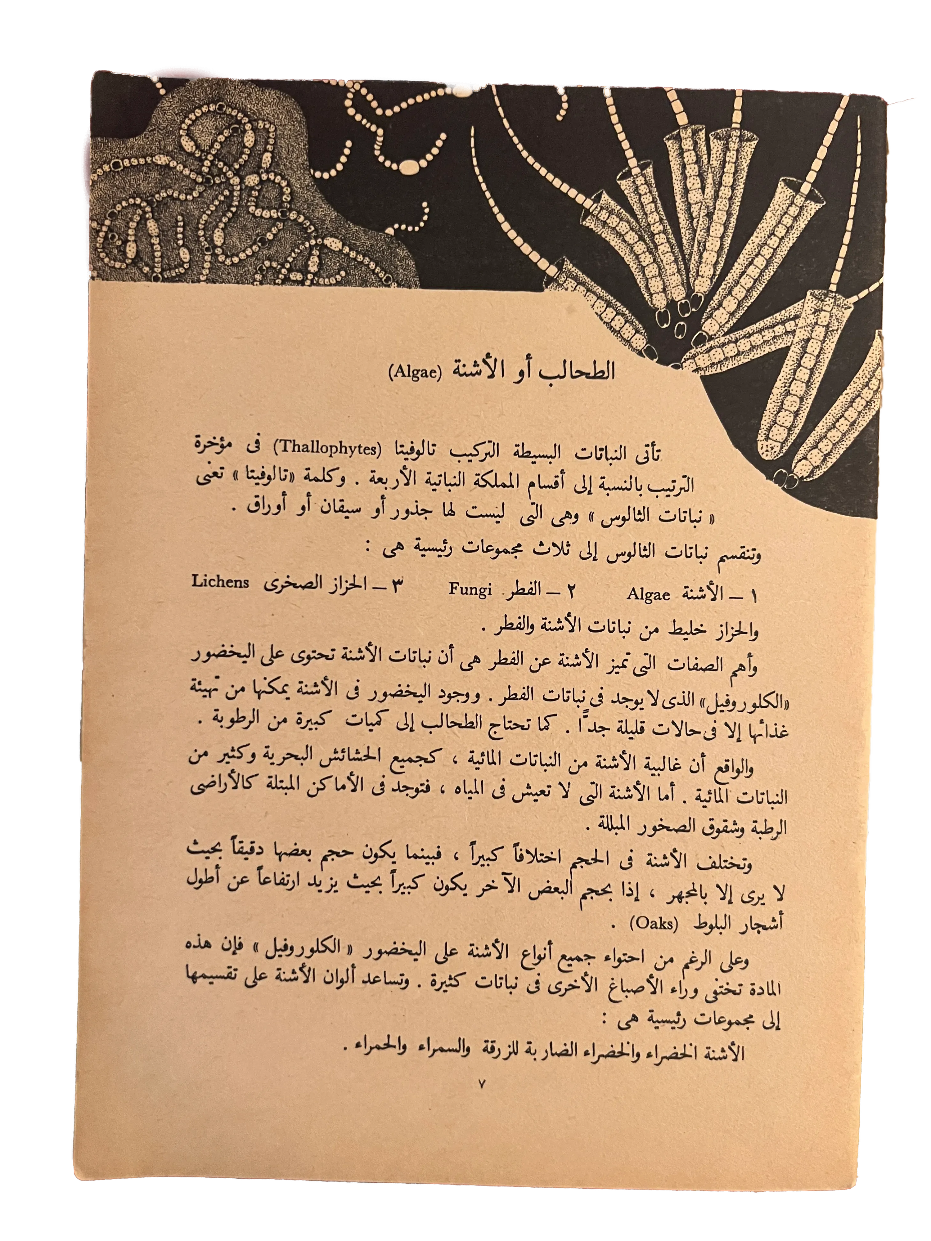 1964 Alam al-Nabat (The World of Plants) - KHAJISTAN™