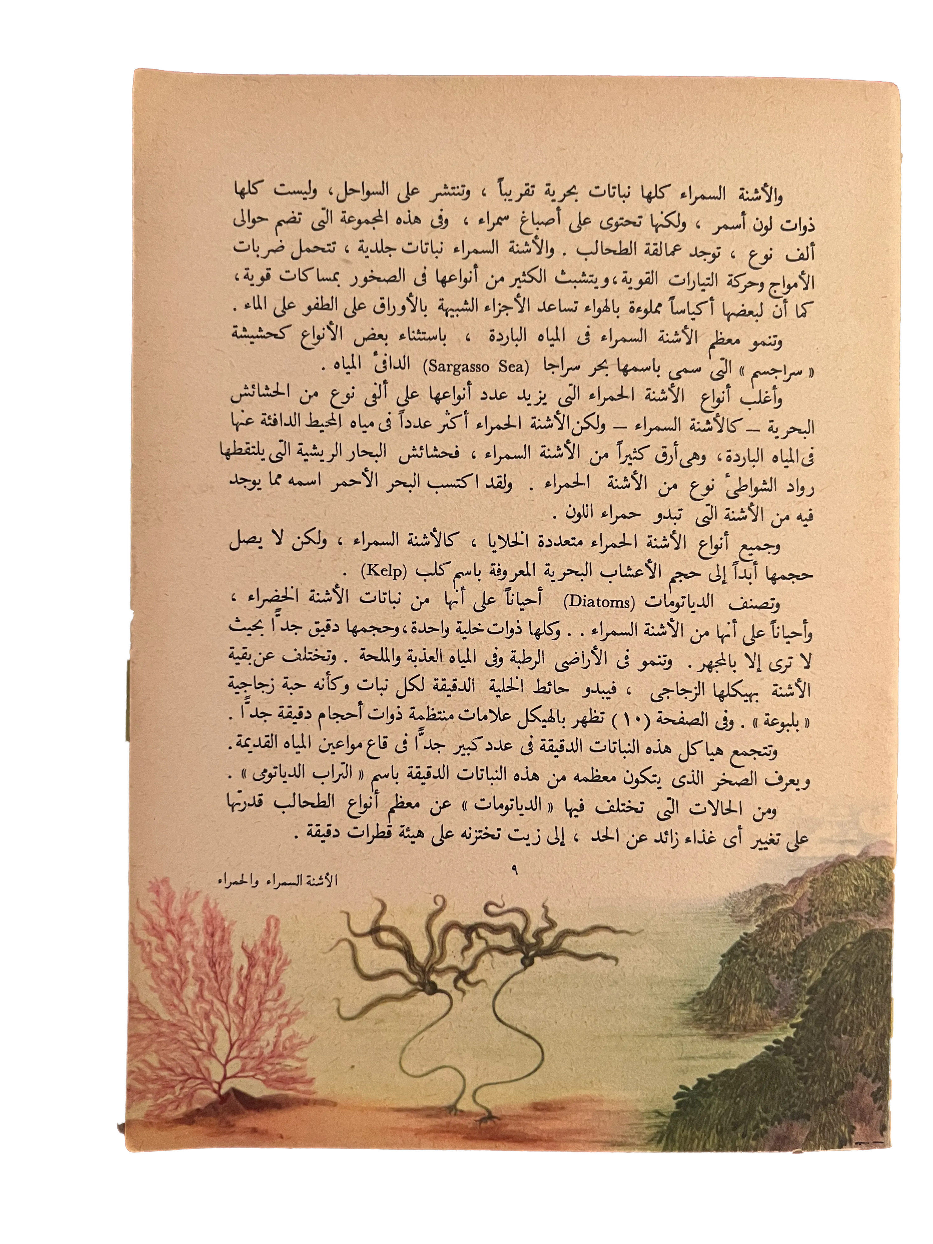 1964 Alam al-Nabat (The World of Plants) - KHAJISTAN™