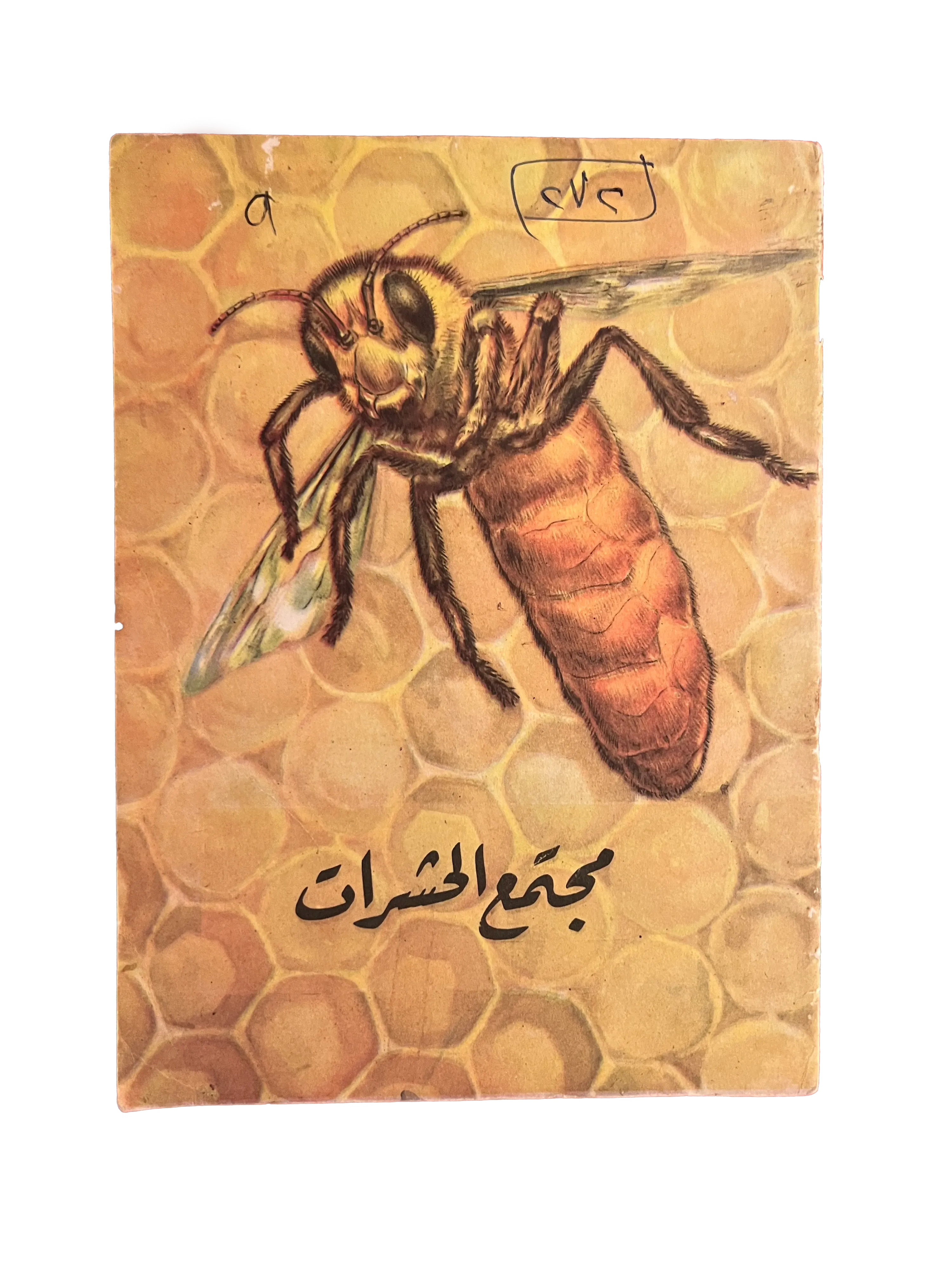 1964 Insect Societies (Arabic) - KHAJISTAN™