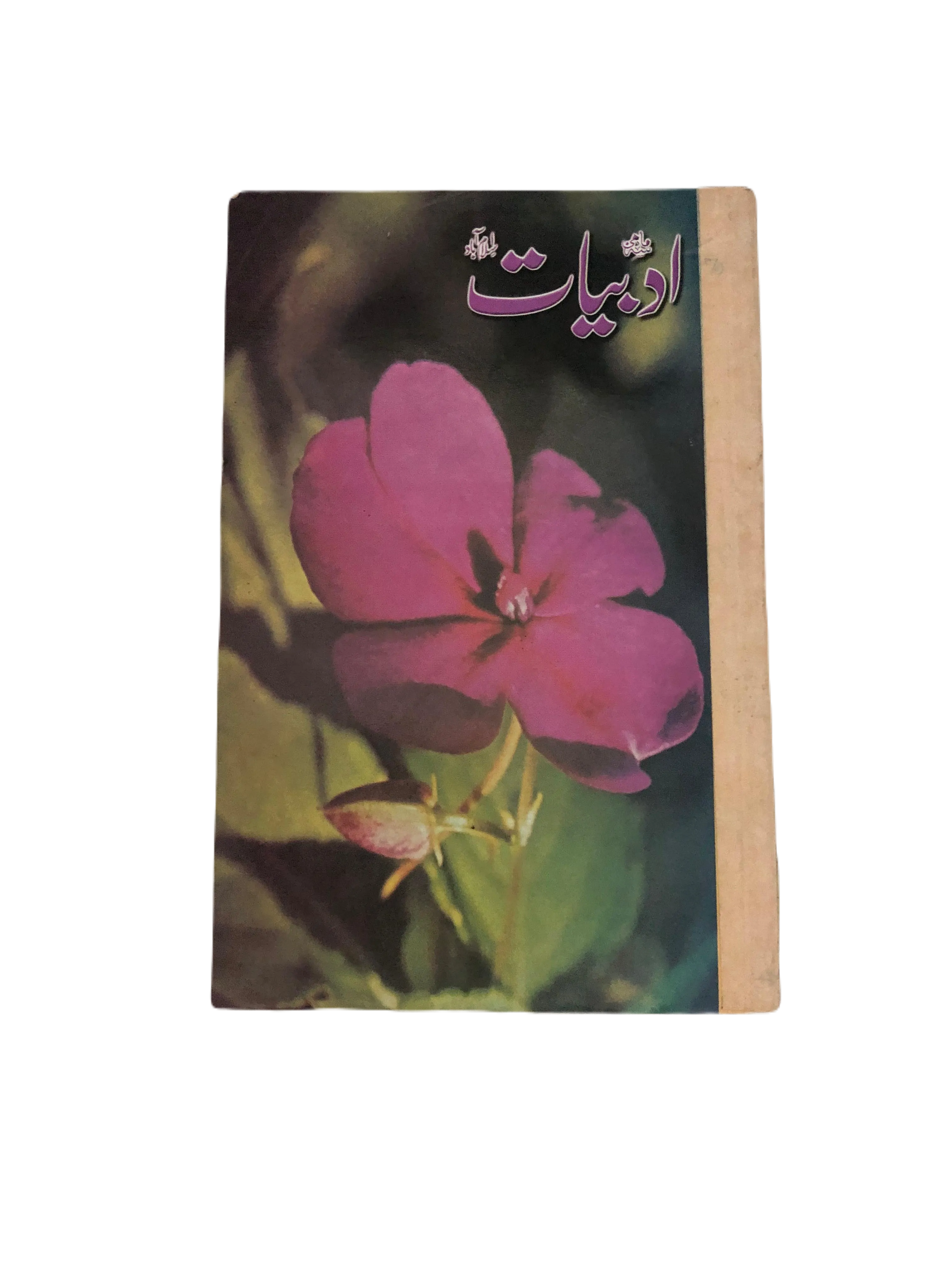 20 Issues of Quarterly Adbiyat (1987-2006, Islamabad, Urdu) - KHAJISTAN™