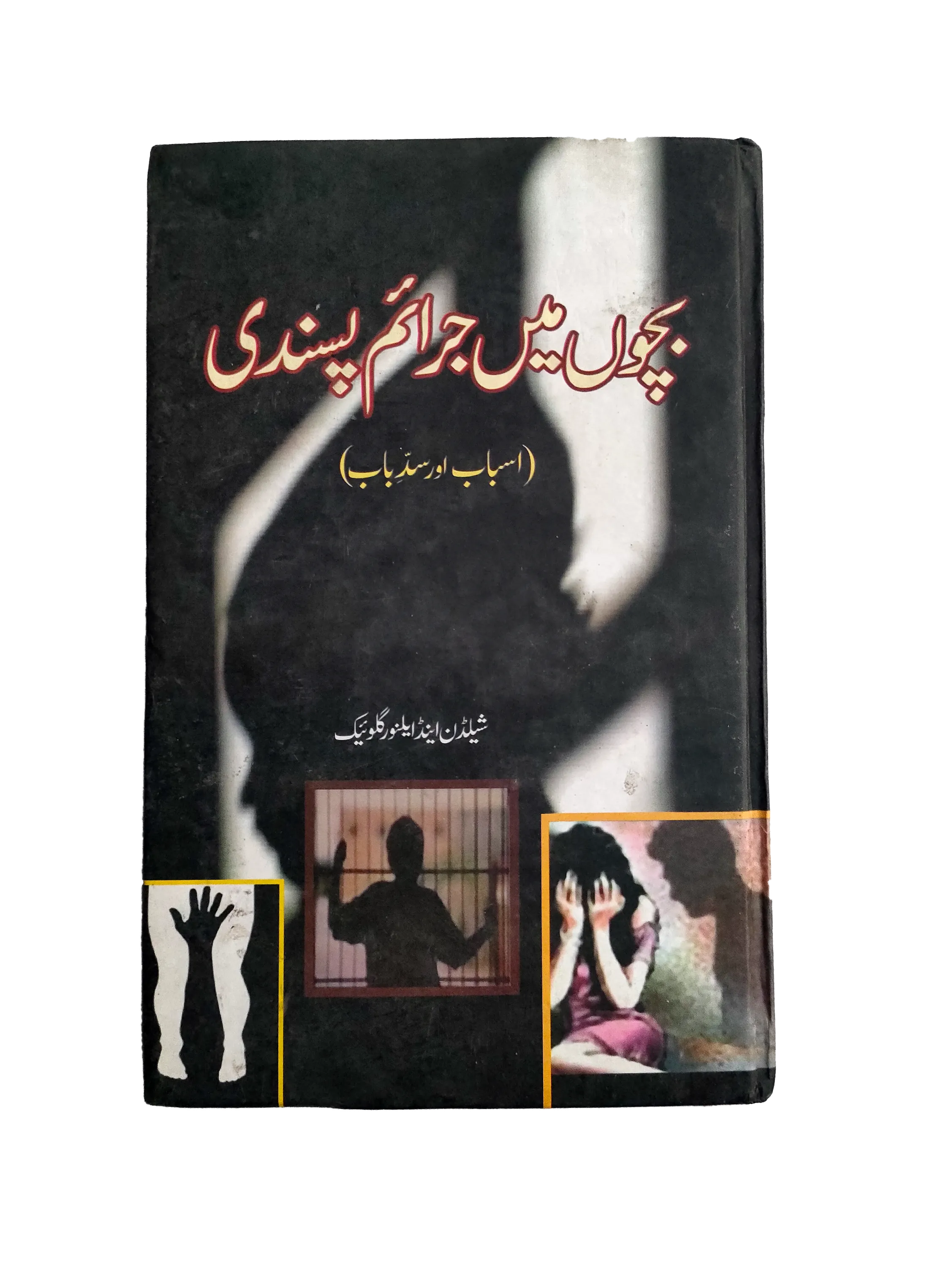 2012 Crime-Liking in Children - Causes and Solutions (Urdu) - KHAJISTAN™