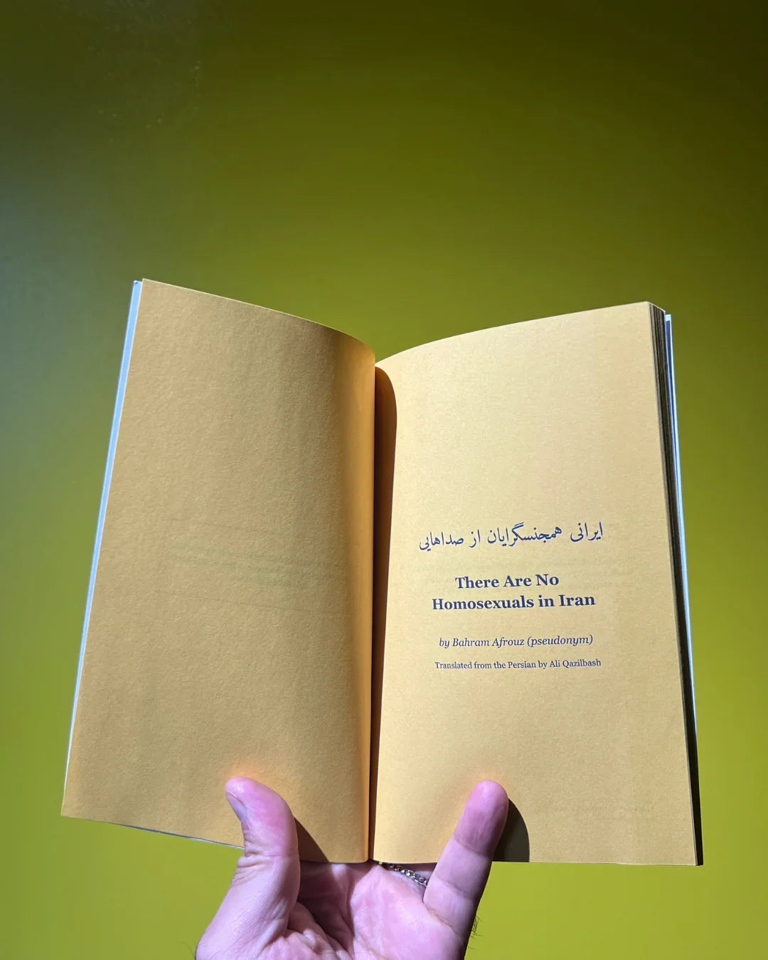 There Are No Homosexuals in Iran