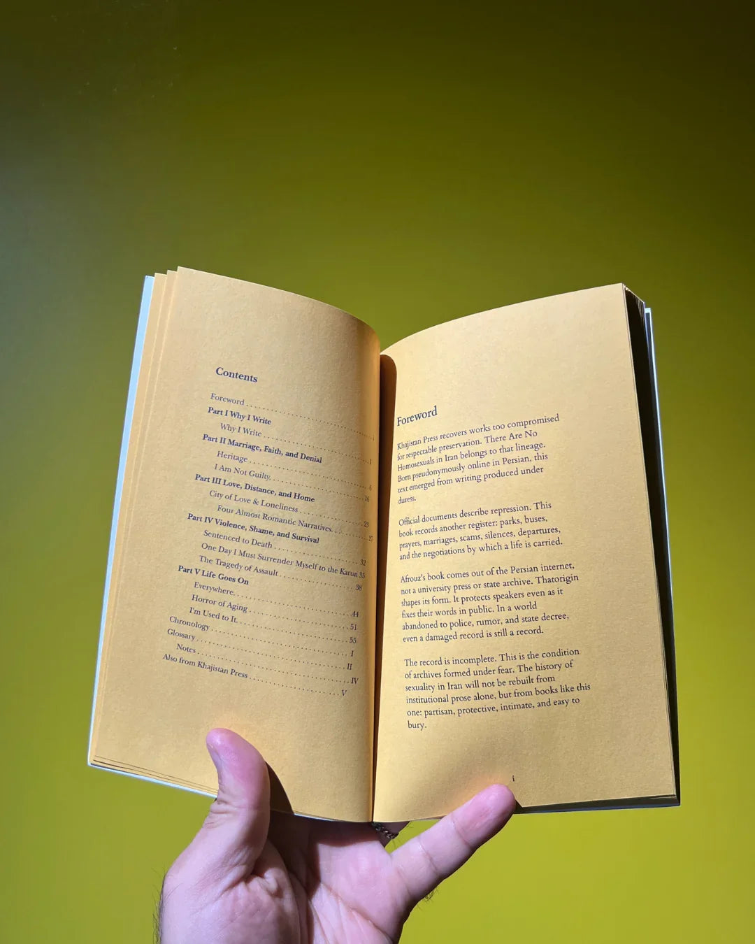 There Are No Homosexuals in Iran