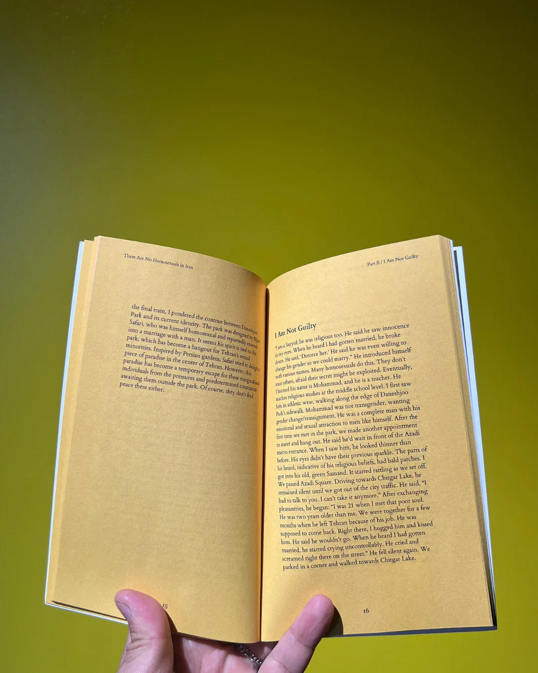 There Are No Homosexuals in Iran