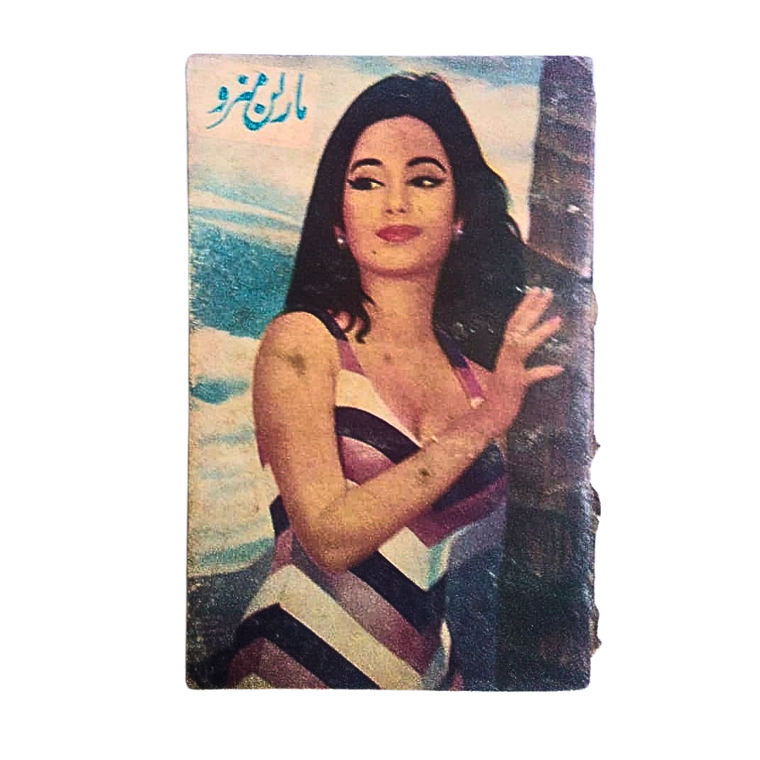 1970s Banned Urdu Erotica | 14 Magazines and Books