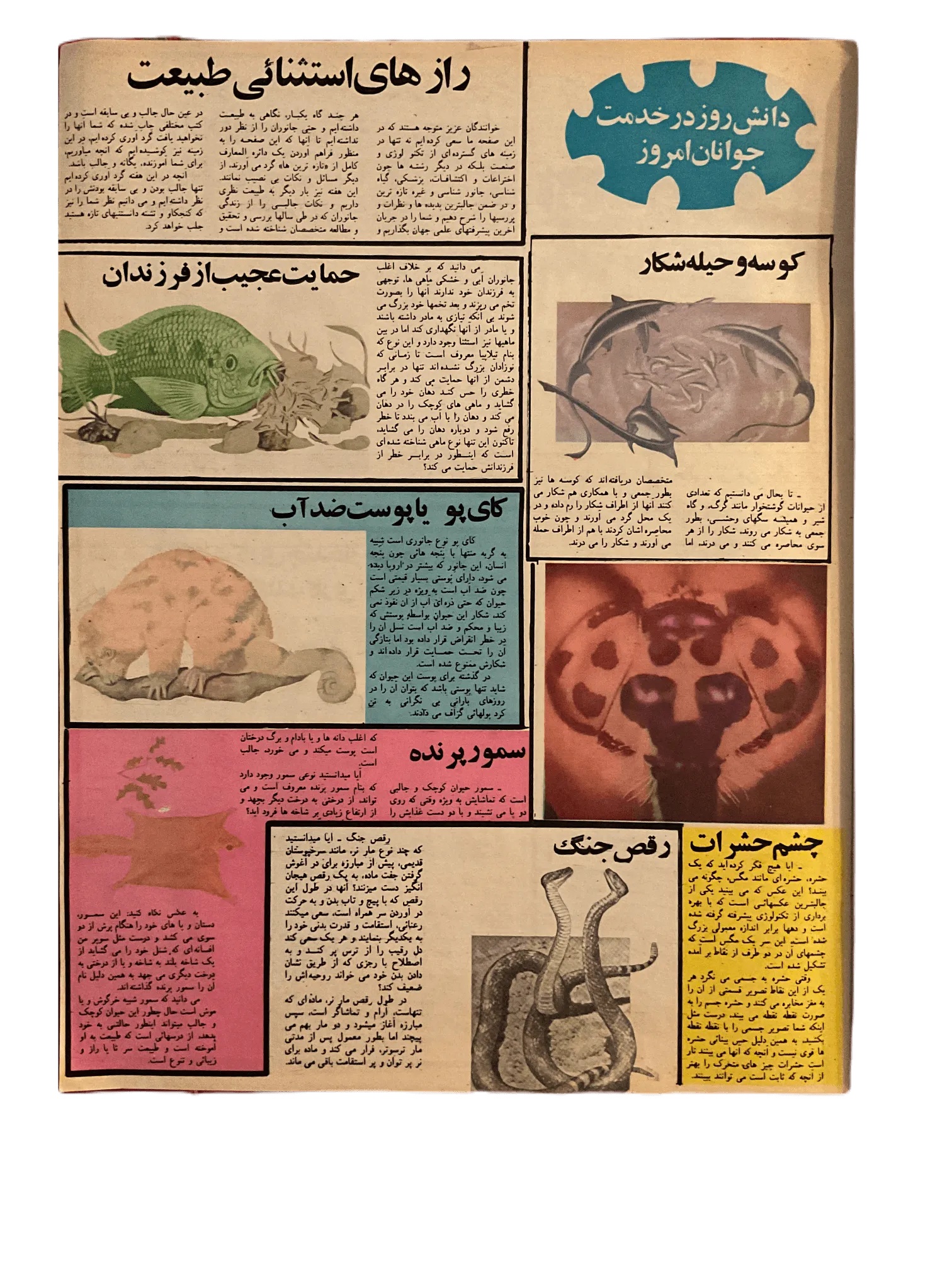 38 Issues of Javanan-e Emrooz (1970s, Iran) - KHAJISTAN™