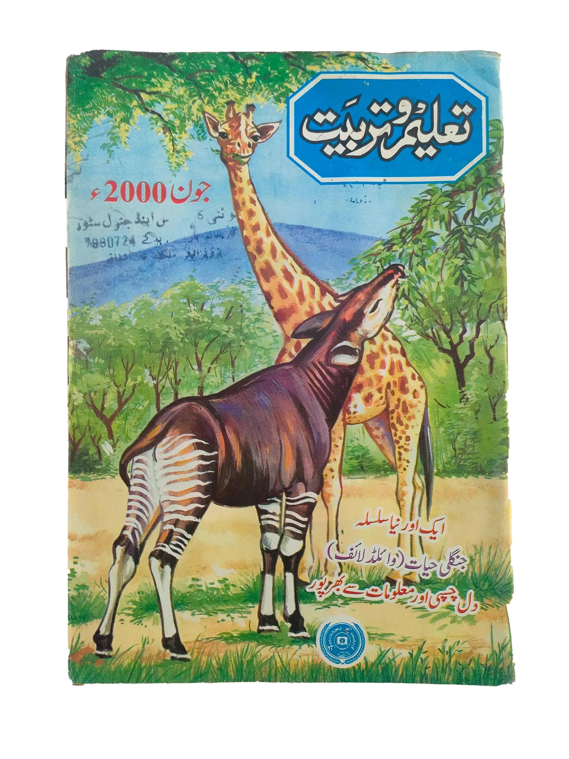 38 Issues of Monthly Taleem-o-Tarbiyat Magazine (1997-2015, Urdu) - KHAJISTAN™