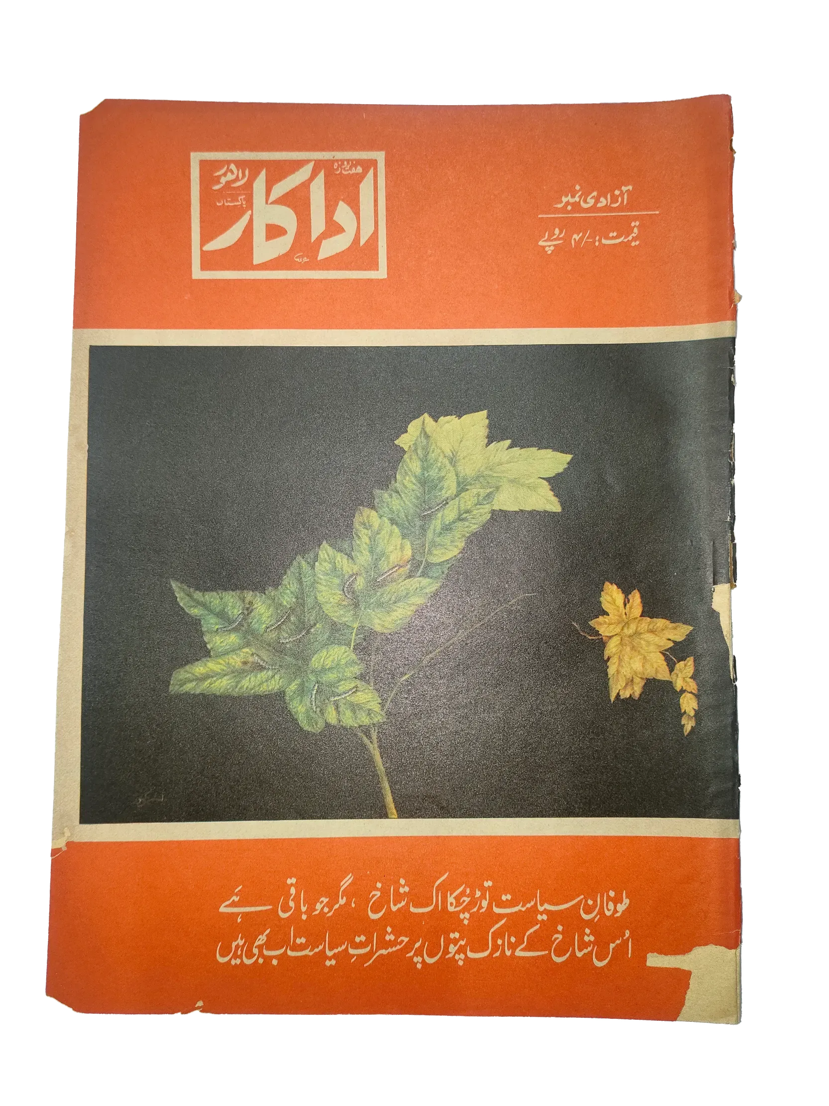 38 Issues of Weekly Adakaar (1972-1975, Pakistan, Urdu) - KHAJISTAN™