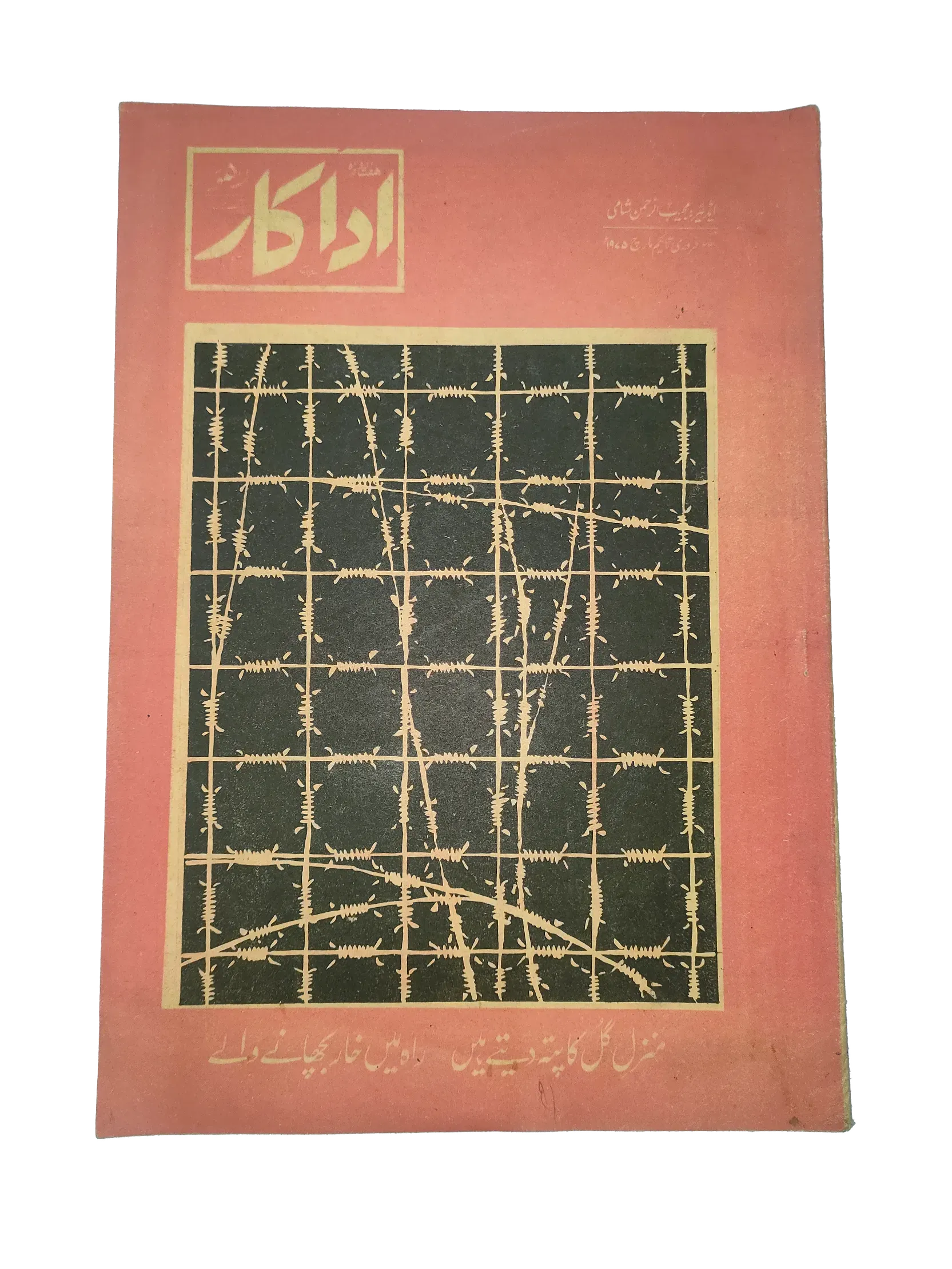 38 Issues of Weekly Adakaar (1972-1975, Pakistan, Urdu) - KHAJISTAN™