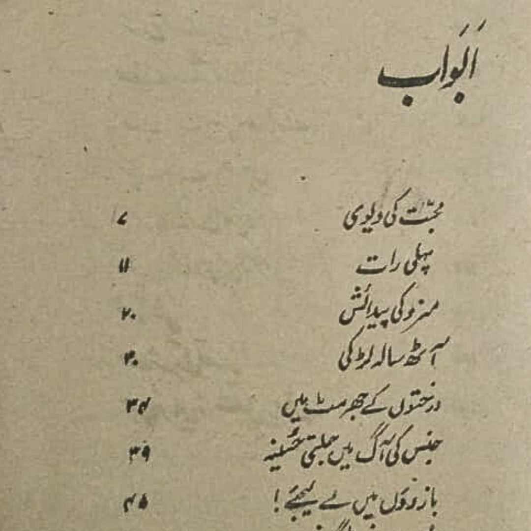 1970s Banned Urdu Erotica | 14 Magazines and Books