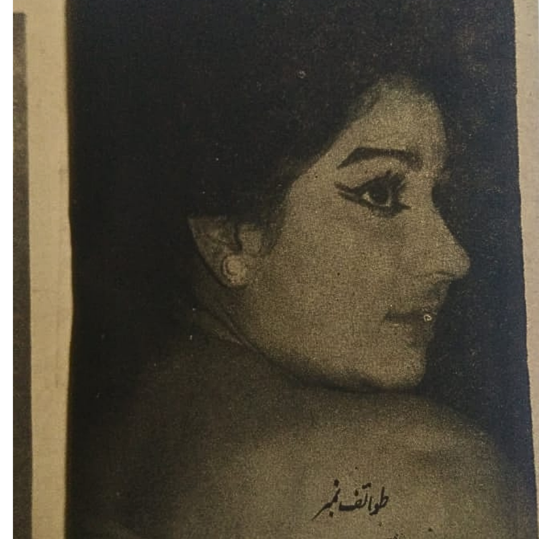 1970s Banned Urdu Erotica | 14 Magazines and Books