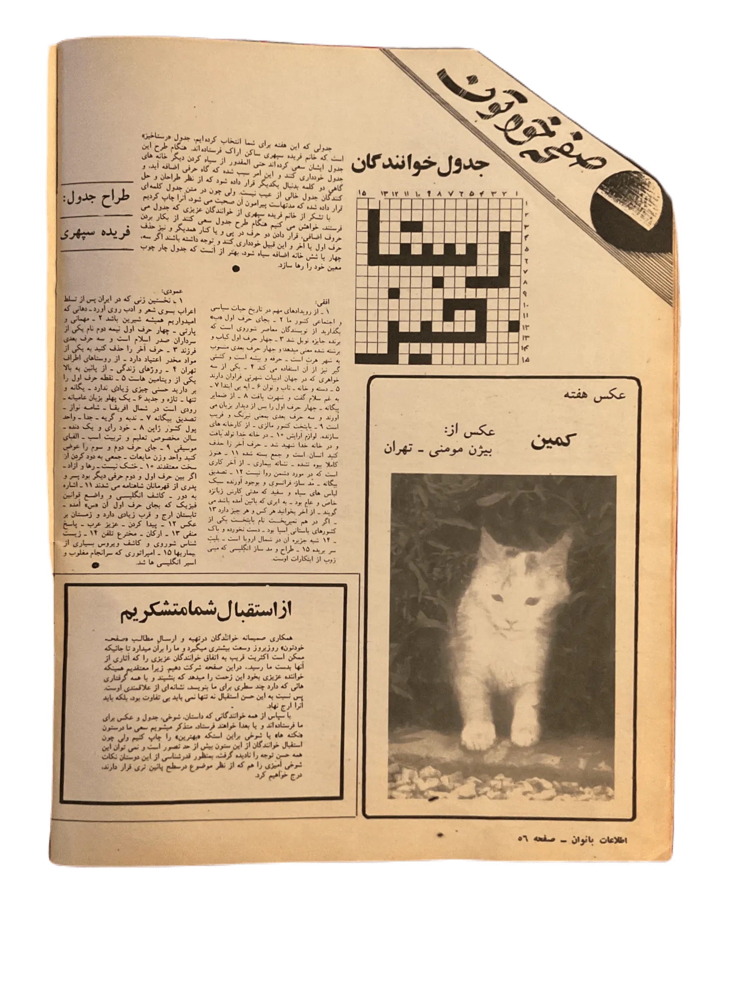 47 Issues of Ettelaat-e Banuvan (1950s-1970s, Iran) - KHAJISTAN™