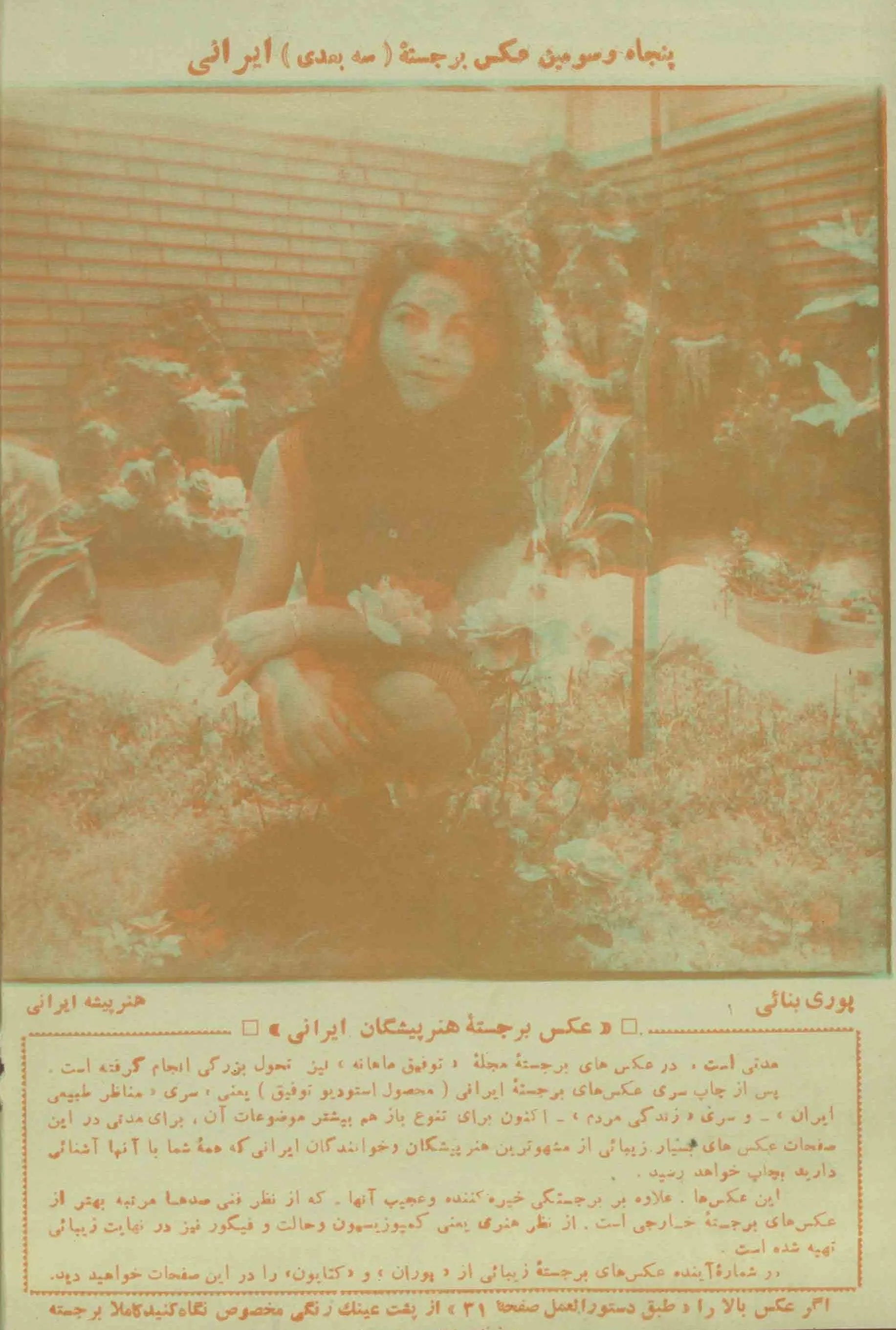 493 Issues of Towfigh (1923-1971, Iran) - KHAJISTAN™