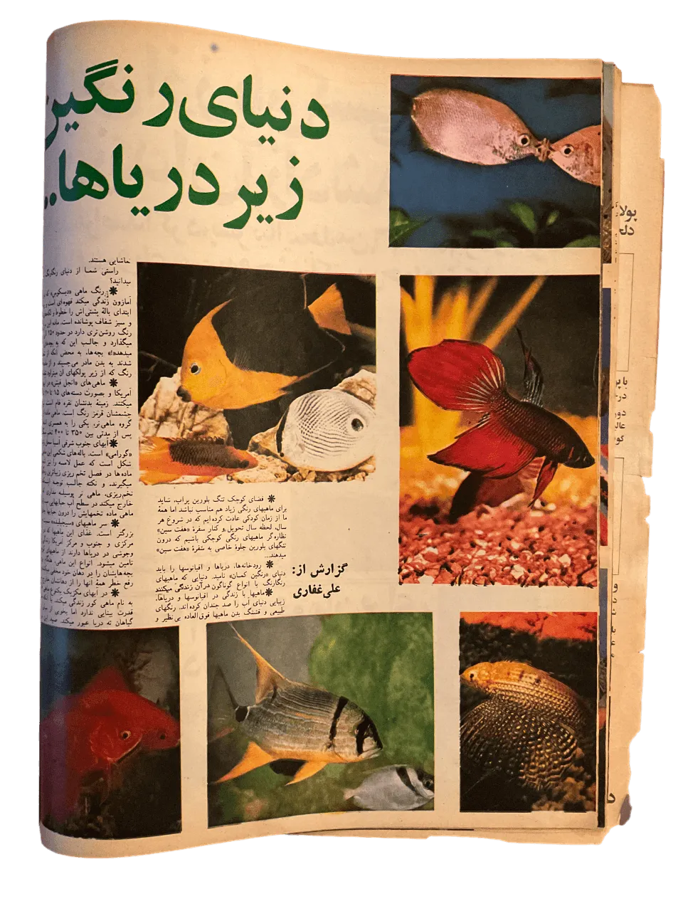 51 Issues of Ettela'at Haftegy (1970s, Iran) - KHAJISTAN™