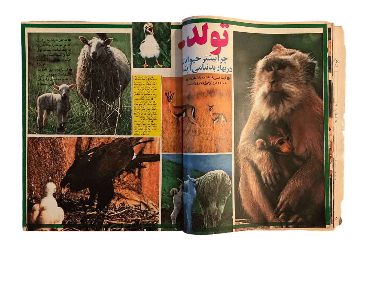 51 Issues of Ettela'at Haftegy (1970s, Iran) - KHAJISTAN™