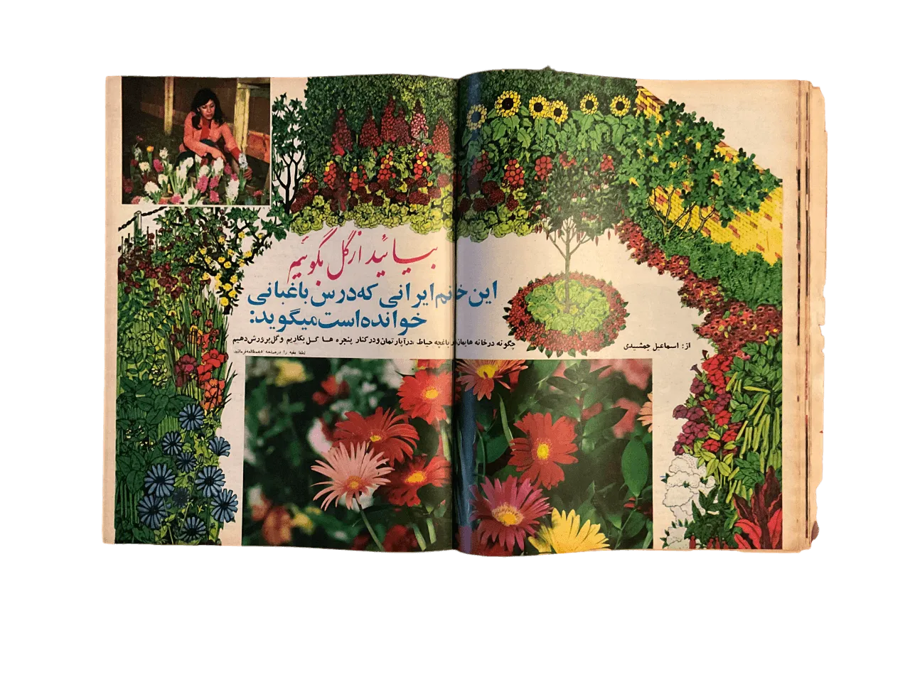 51 Issues of Ettela'at Haftegy (1970s, Iran) - KHAJISTAN™