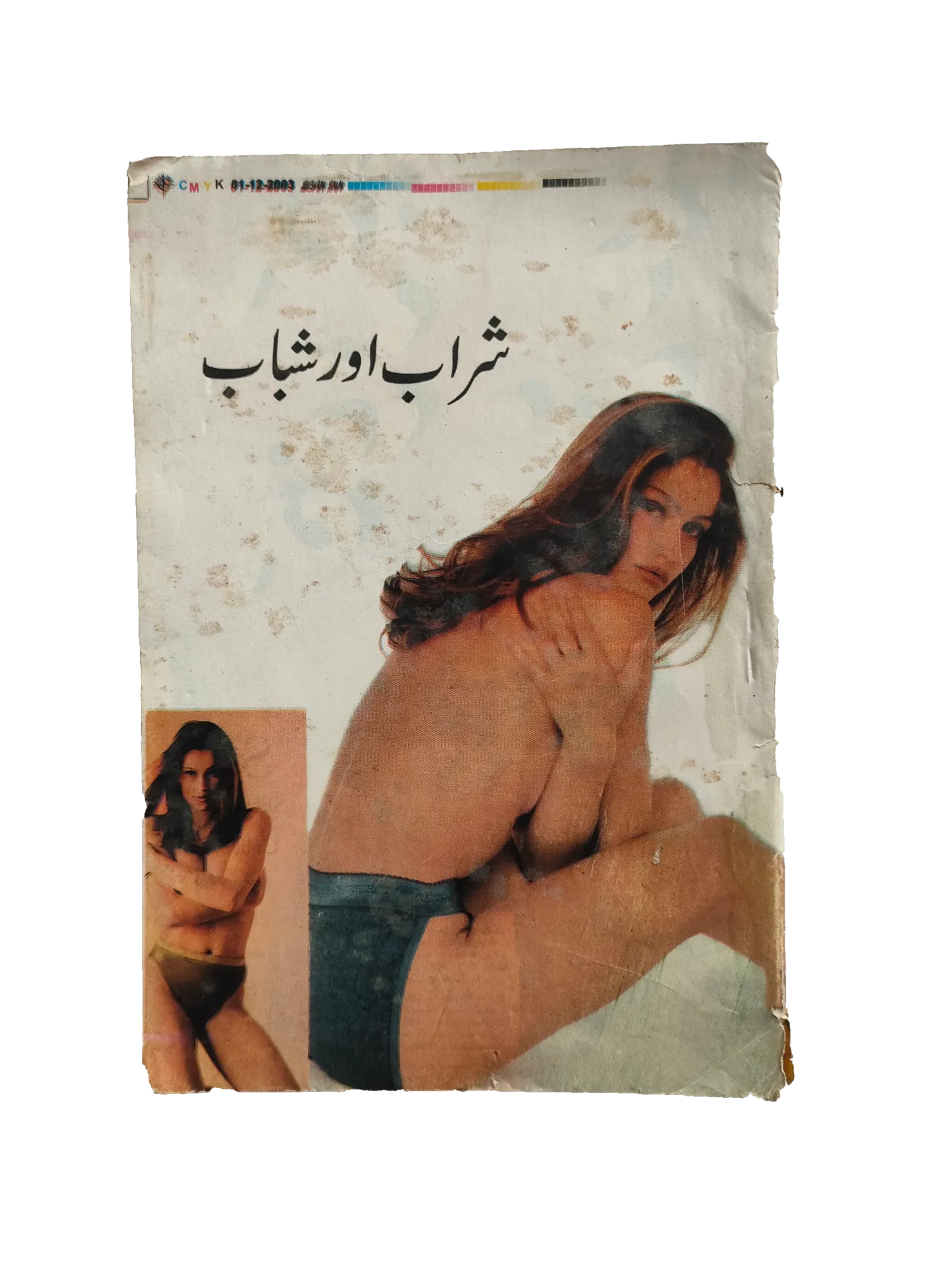 220 Magazines and Books of Banned Urdu Erotica (1970s, Pakistan)