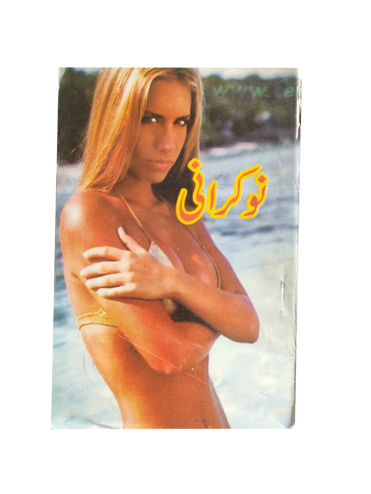 220 Magazines and Books of Banned Urdu Erotica (1970s, Pakistan)