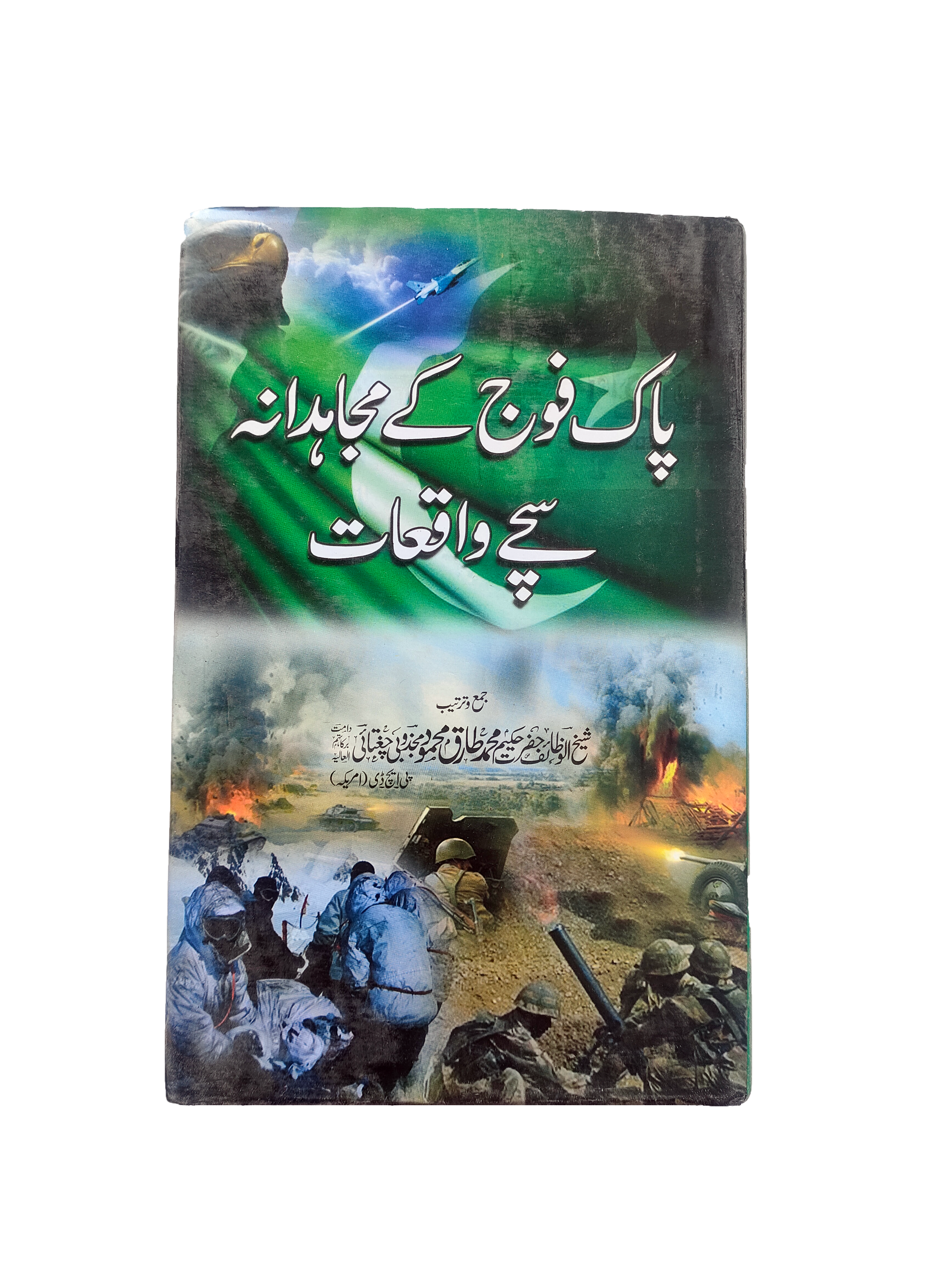 True Stories of the Brave Pakistani Army (Urdu)