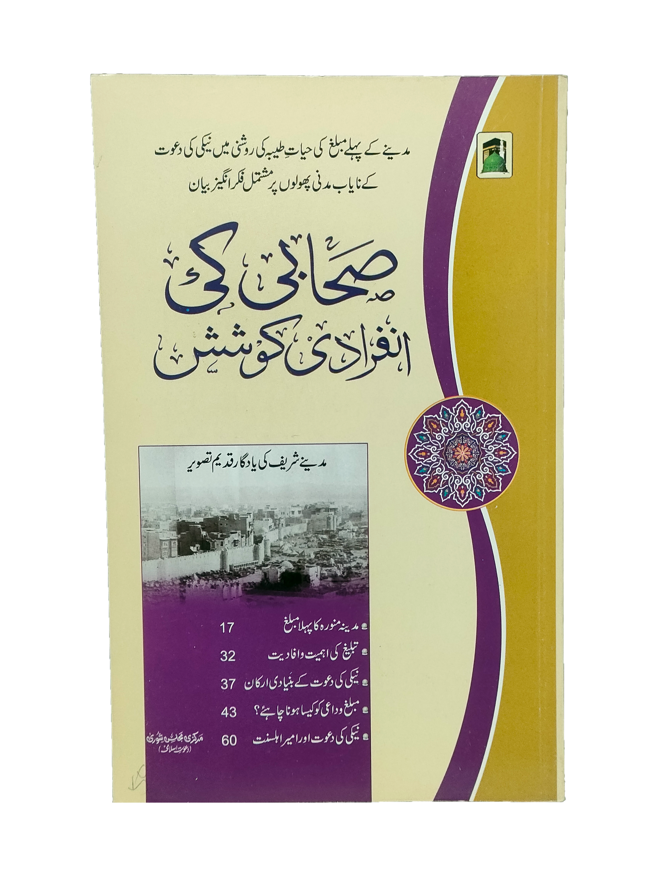 The Individual Efforts of a Companion of Prophet (Urdu, 2013)