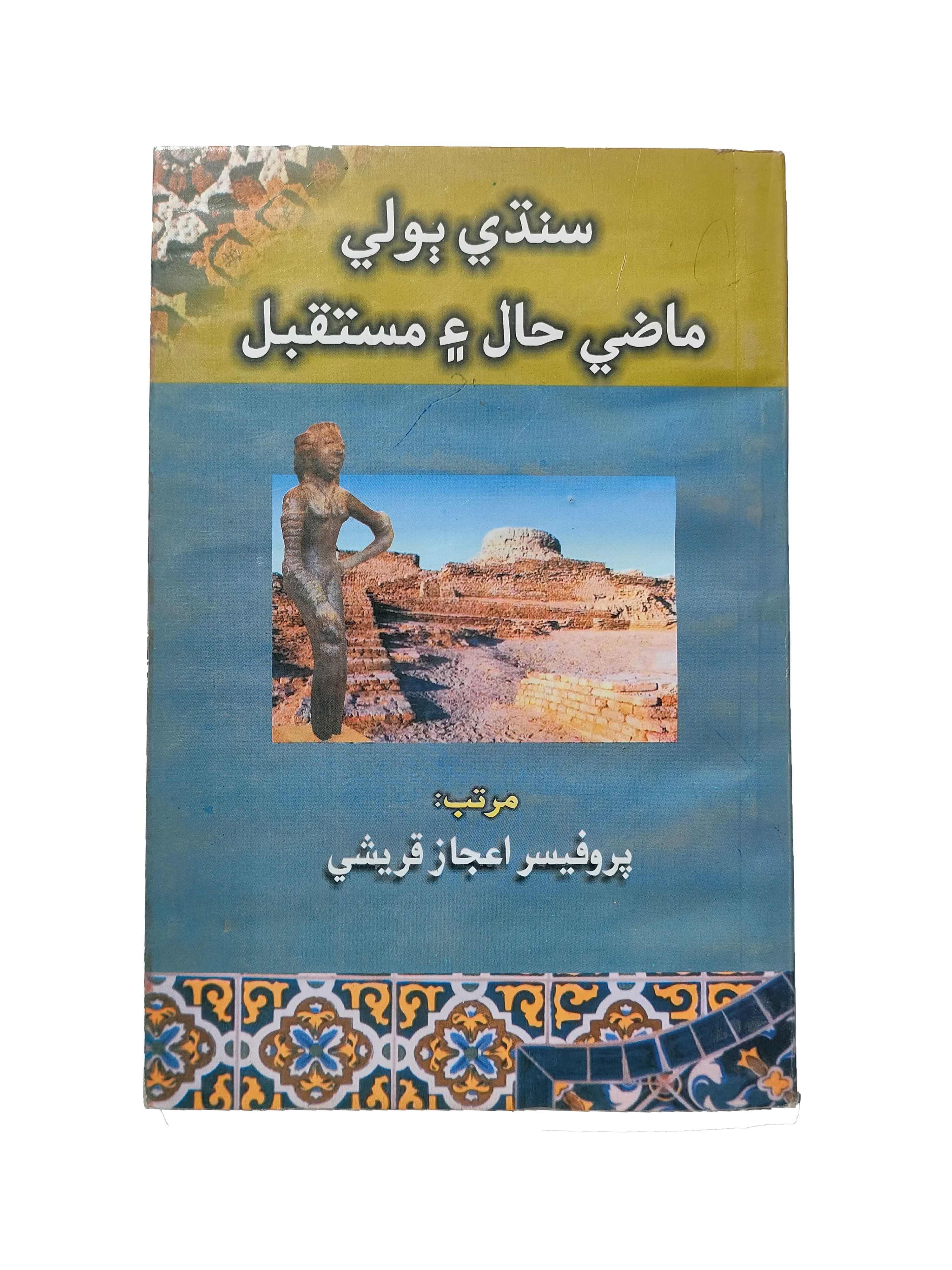 Sindhi Language: Past, Present, and Future (2008, Sindhi)