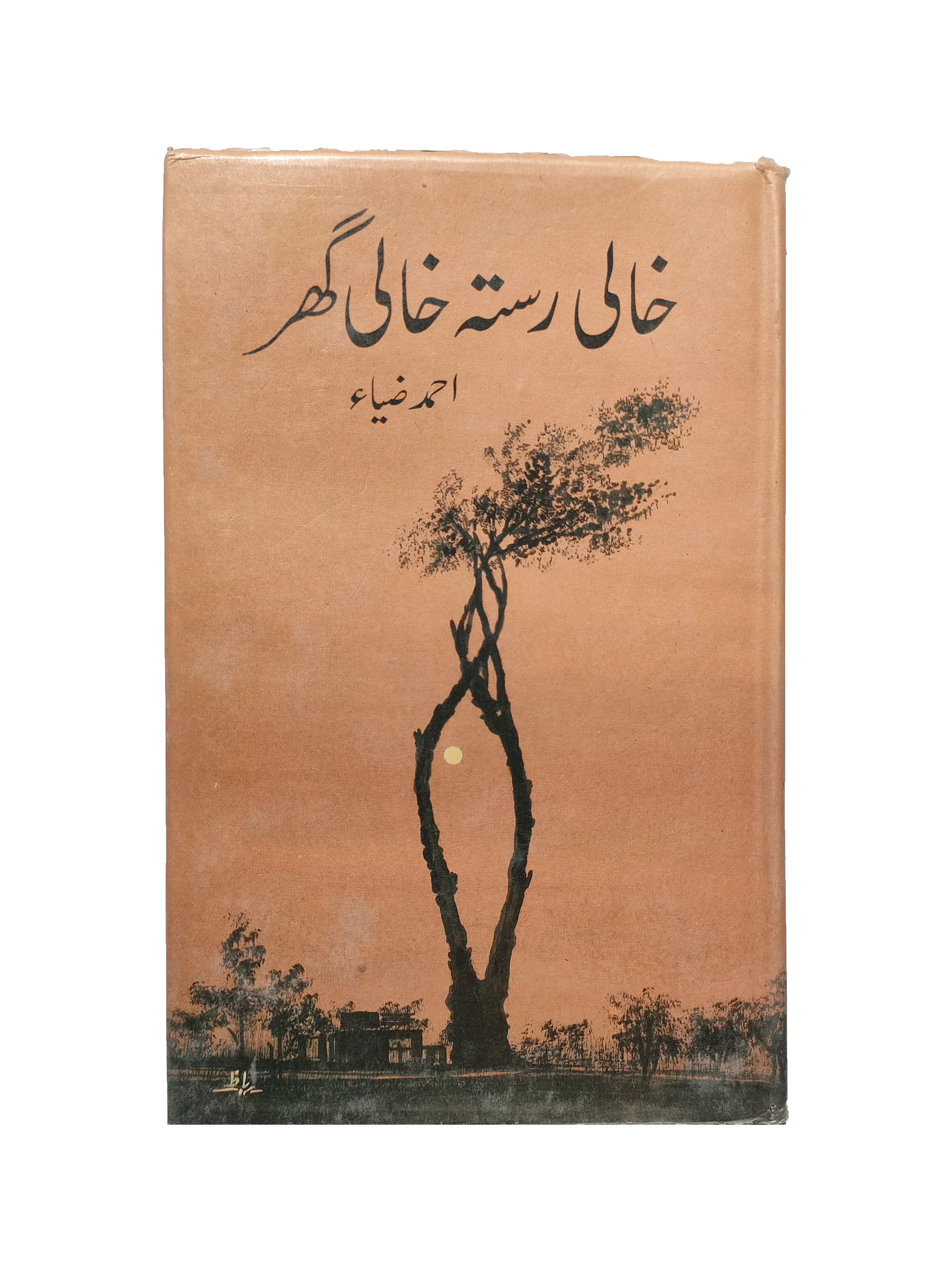 Empty Road, Empty House (2nd Edition) (1999, Urdu)