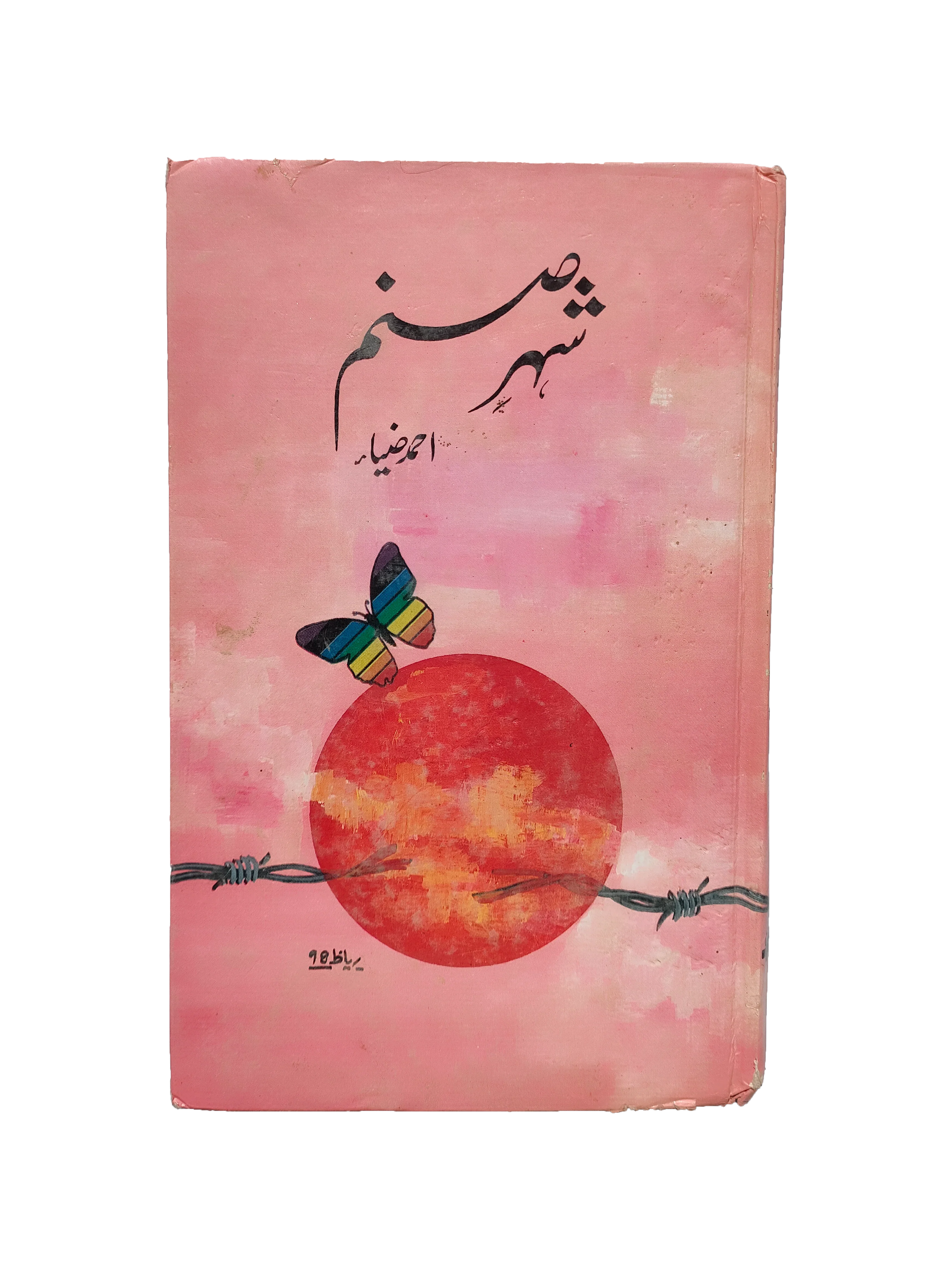 City of Beloved (1998, Urdu)