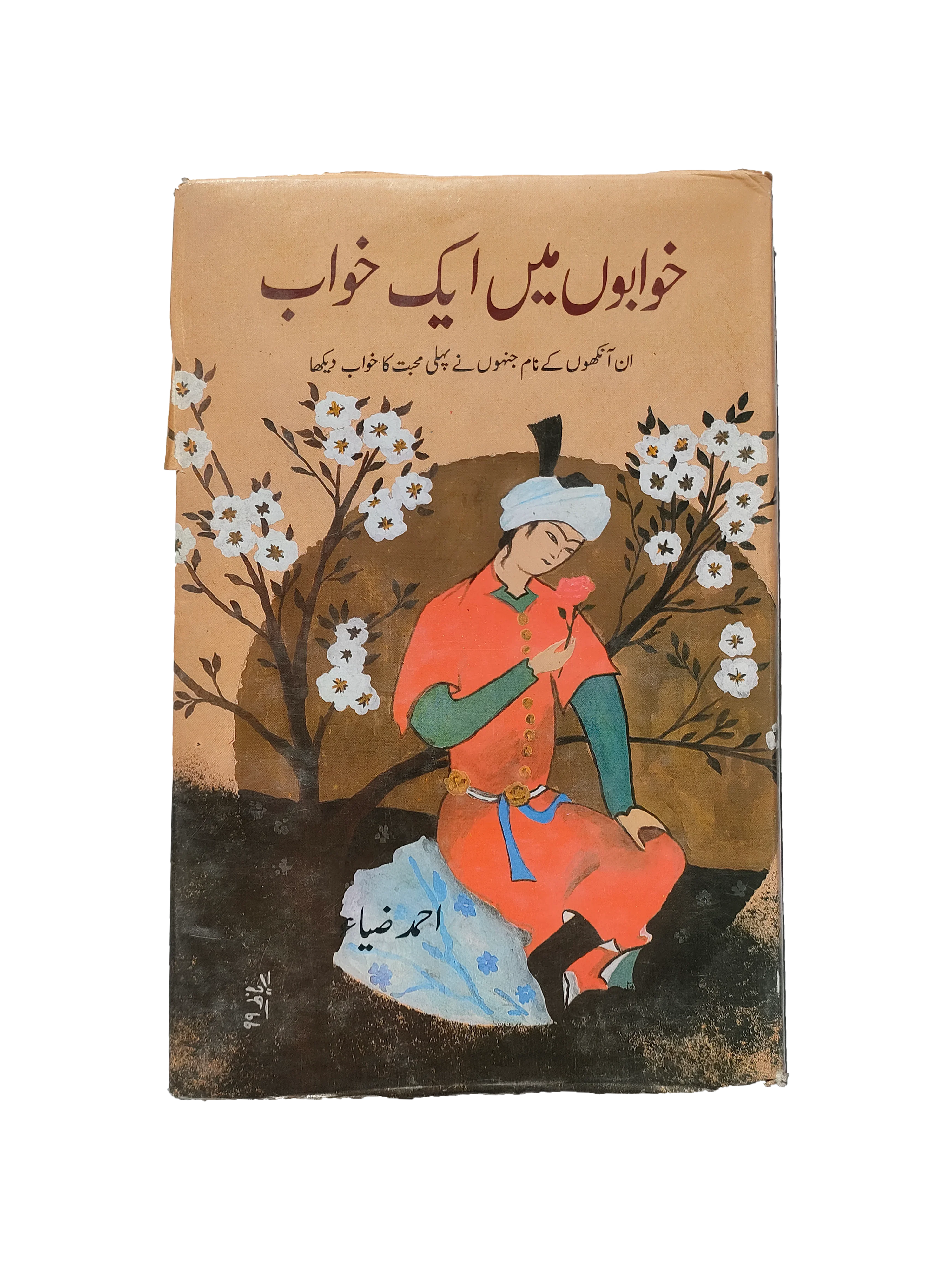 A Dream within Dreams (1999, Urdu)