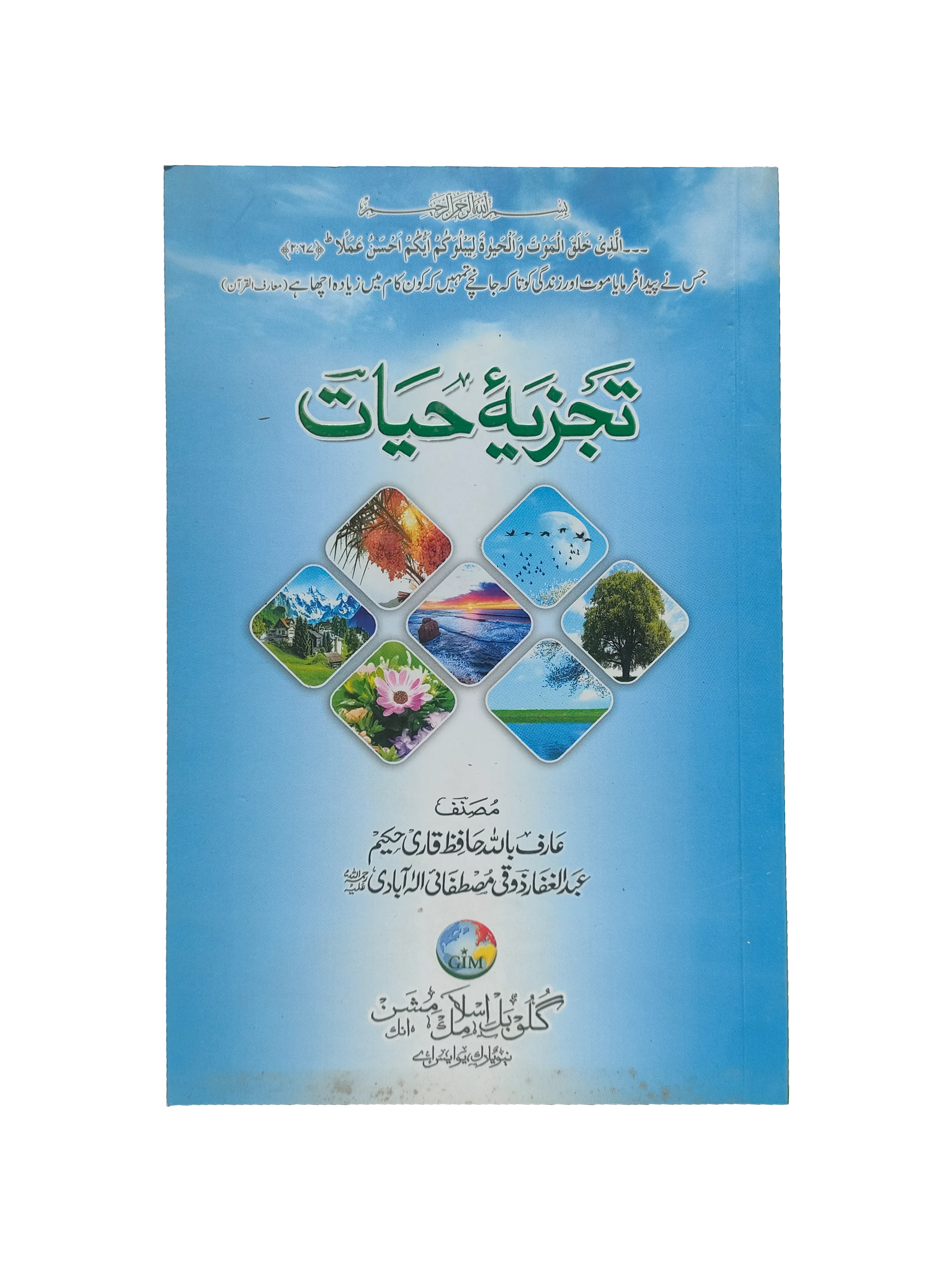 Analysis of Life (2021, Urdu)