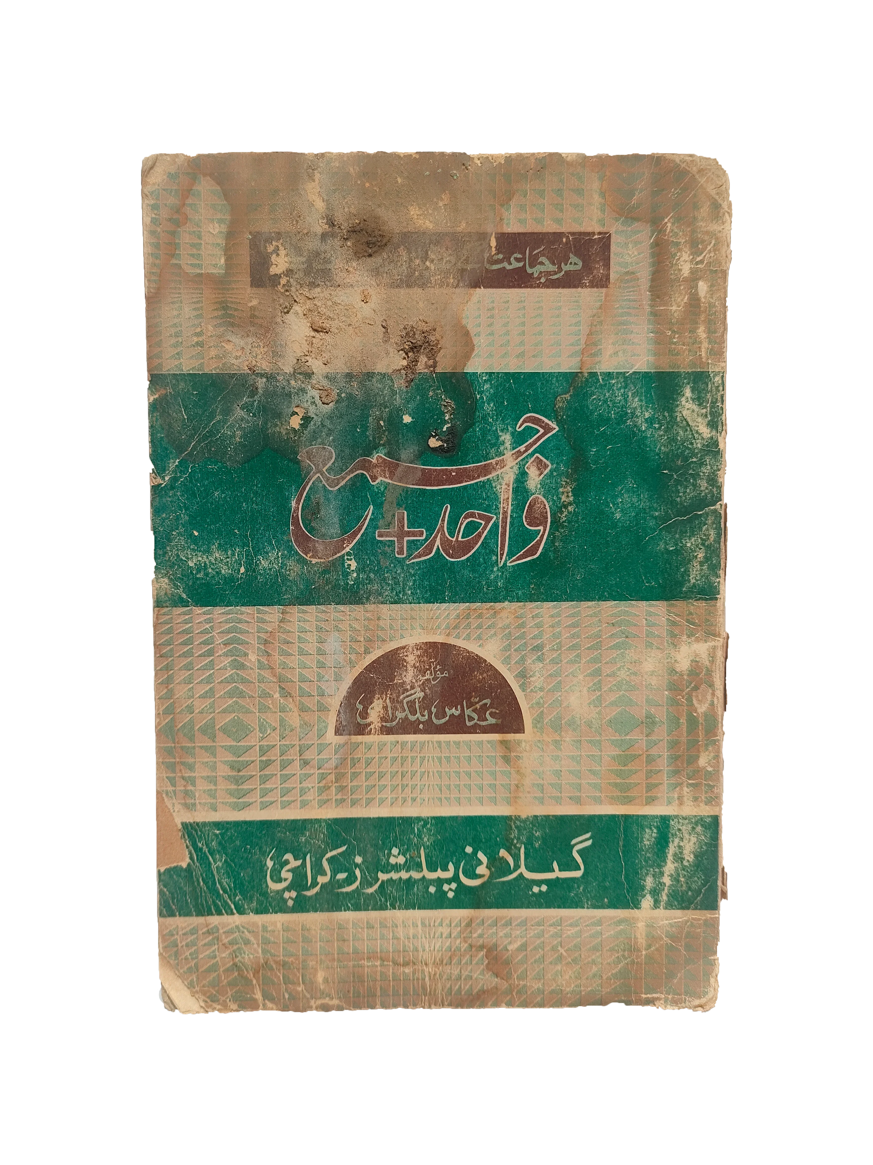 Singular and Plural (1986, Urdu)