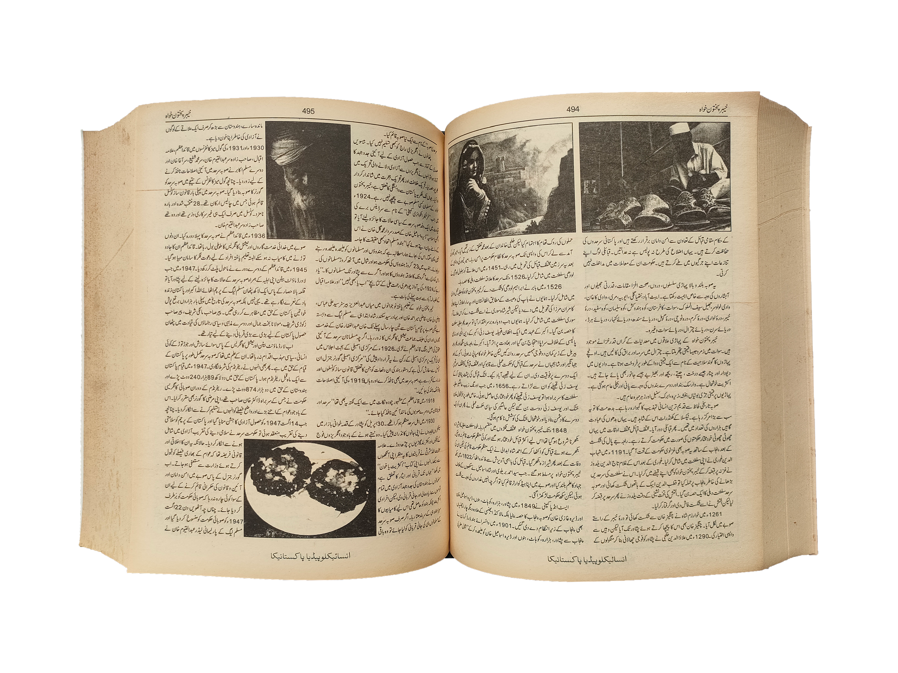 Pakistanica (Urdu, 2014)