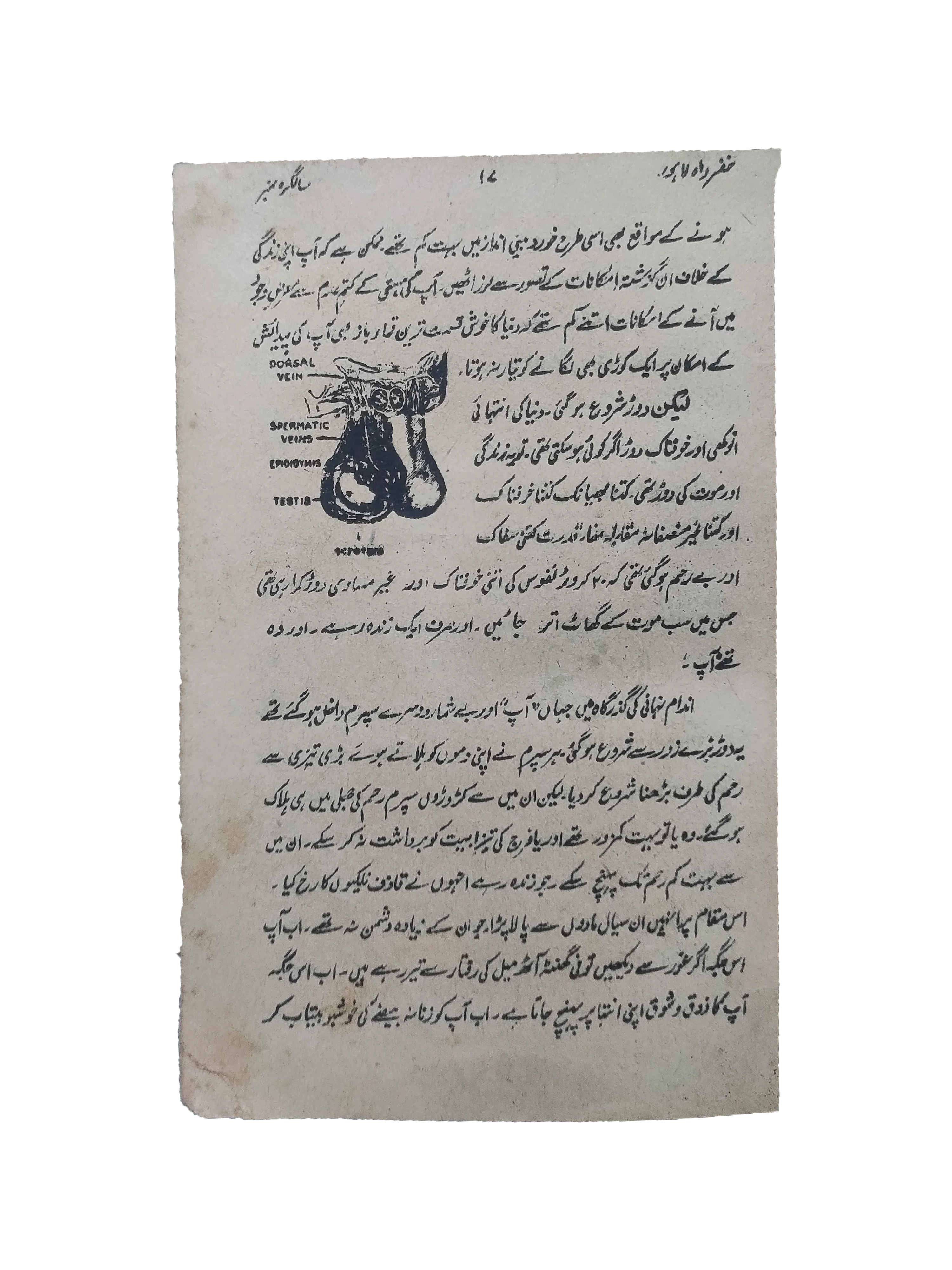 ۴ شماره از مجله خضر راه (۱۹۶۱-۶۲، اردو)