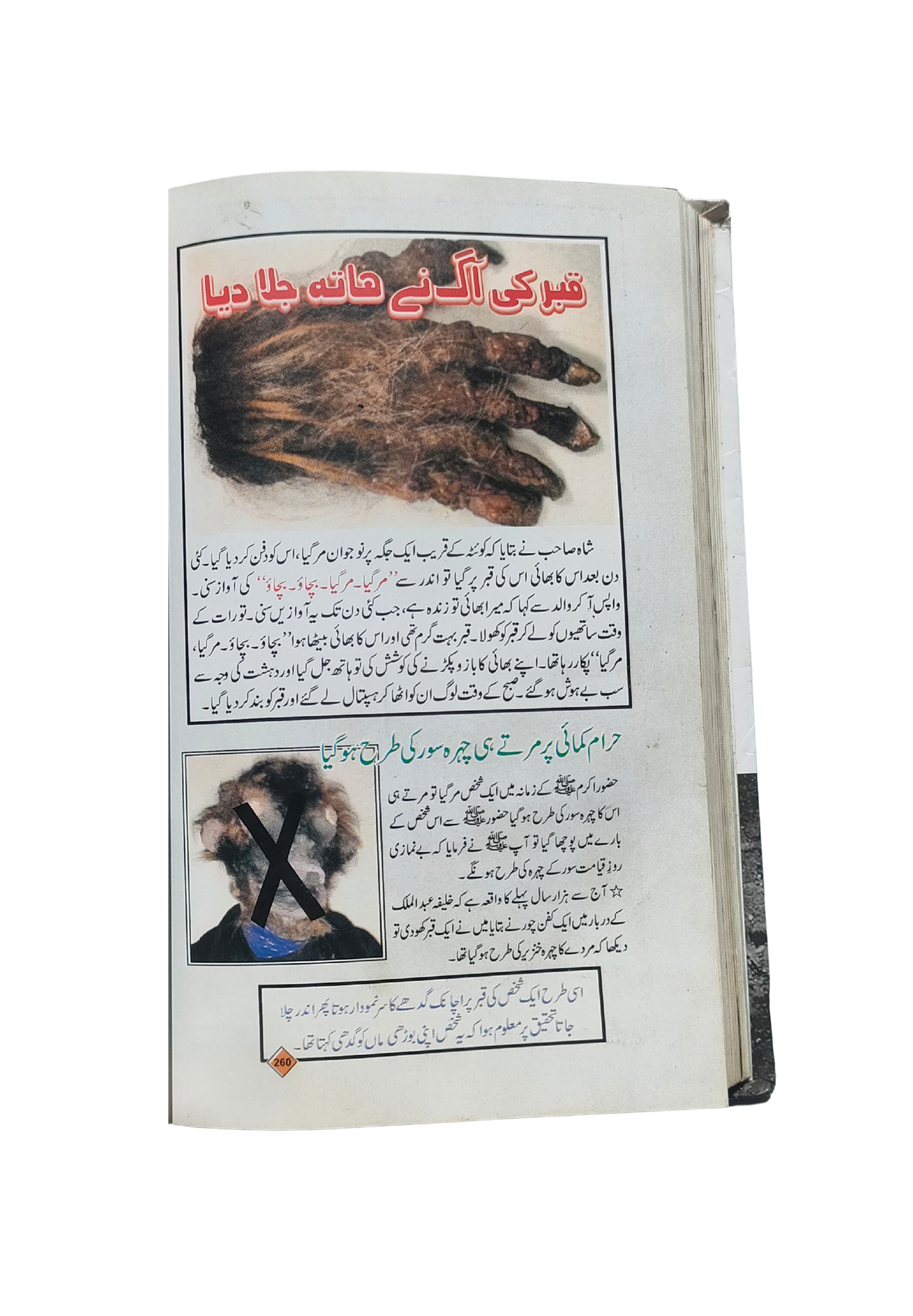 آلبوم تصویری عذاب الهی (اردو، 2008)