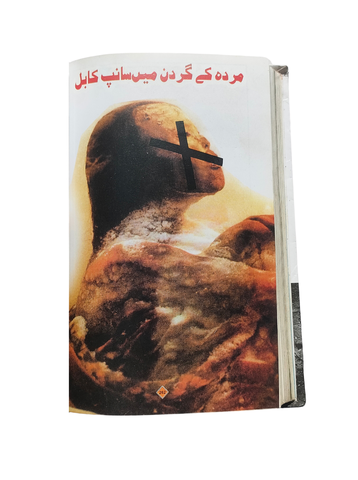 آلبوم تصویری عذاب الهی (اردو، 2008)