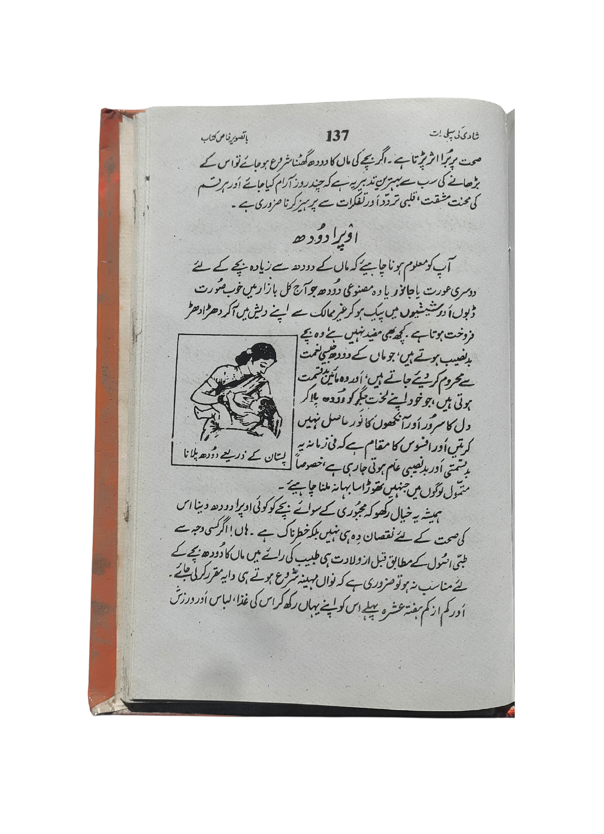 ليلة الزفاف (بالأردية)