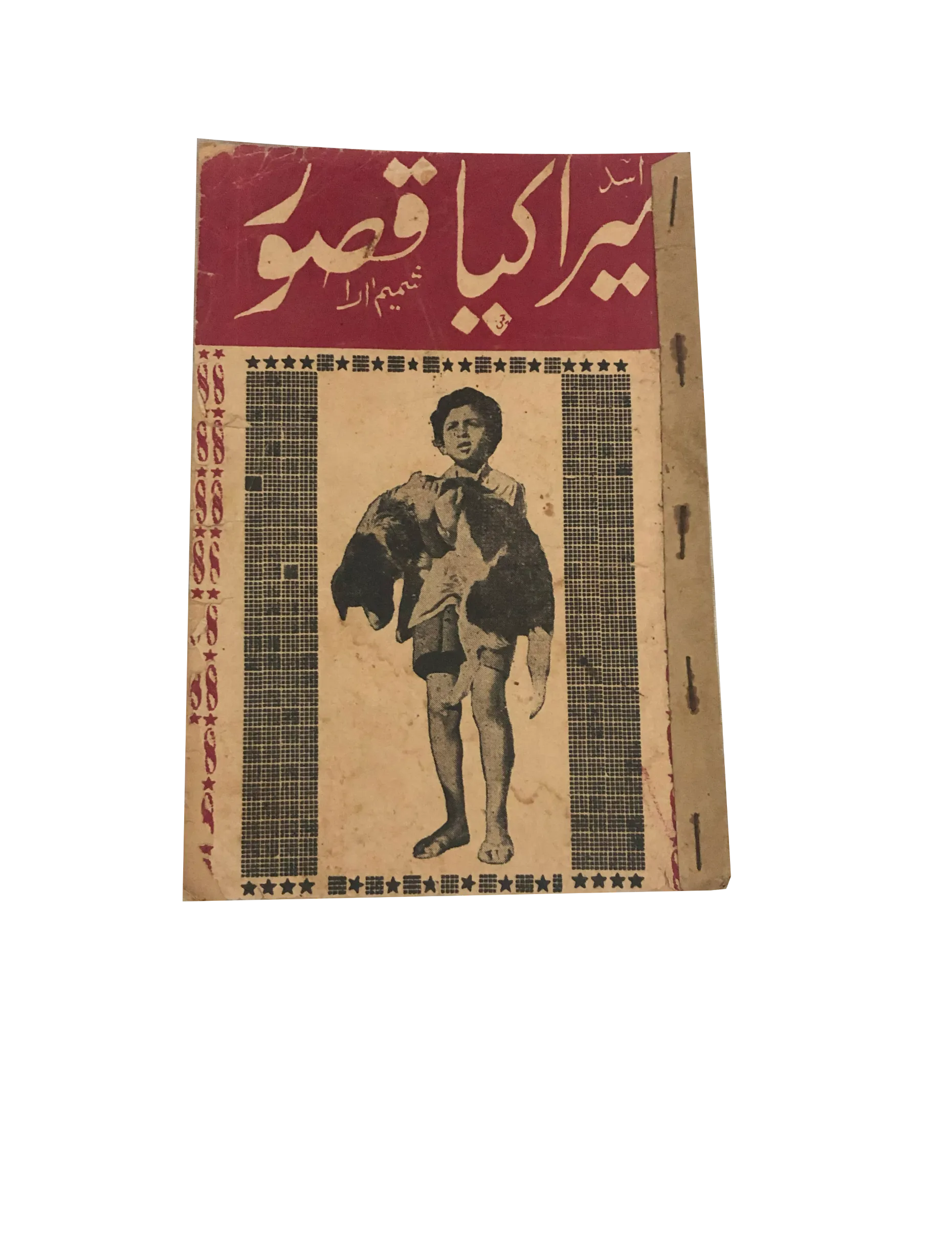 Collection of 36 Pakistani Movies Story Books (Urdu)