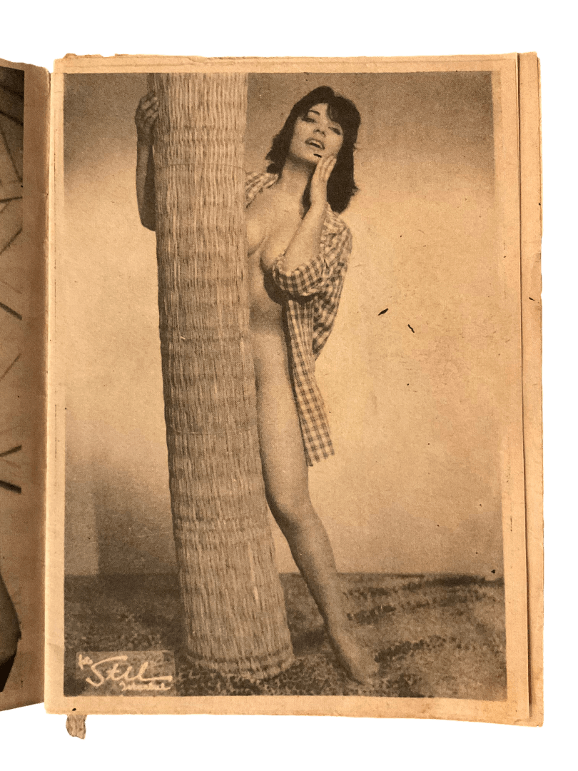 1960s Revü Magazine: Stars Album (Turkish Erotica) - KHAJISTAN™