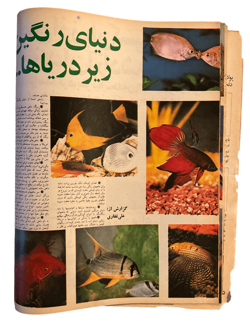 1970s Ettela'at Haftegy | 51 Issues - KHAJISTAN™