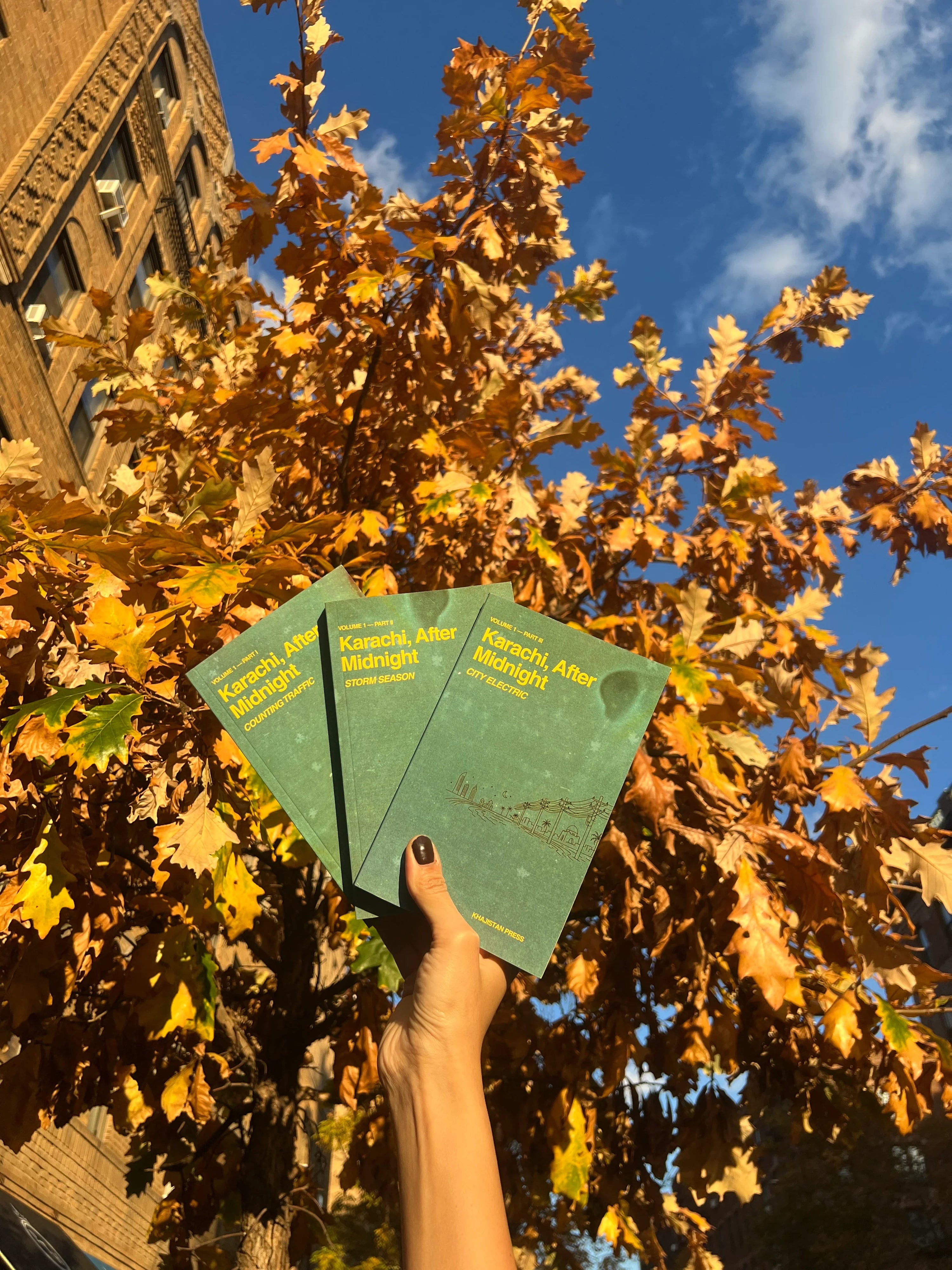 Karachi, After Midnight: VOLUME 1 — PART III: CITY ELECTRIC