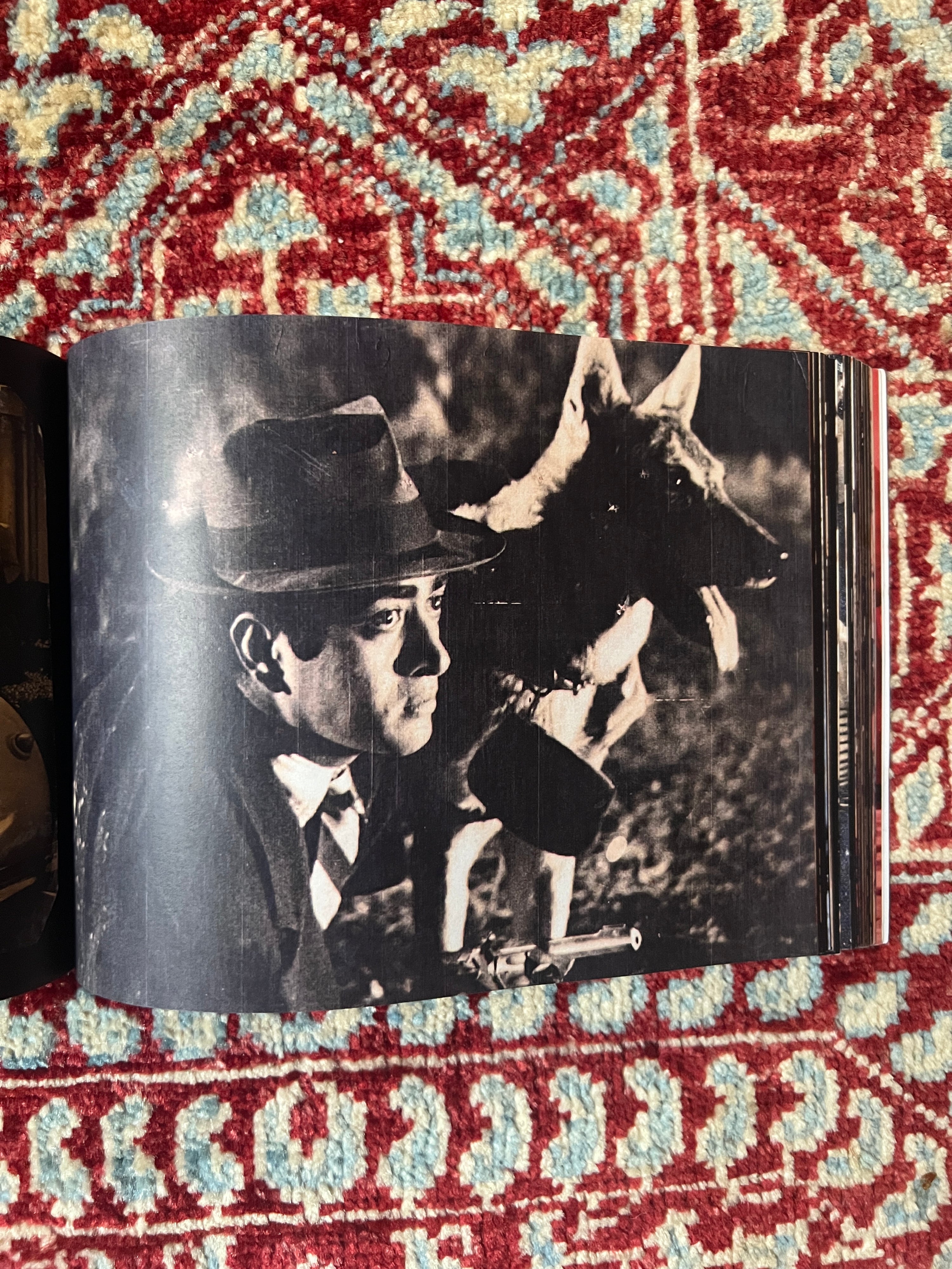 Lollywood Lobby Cards Vol. 2