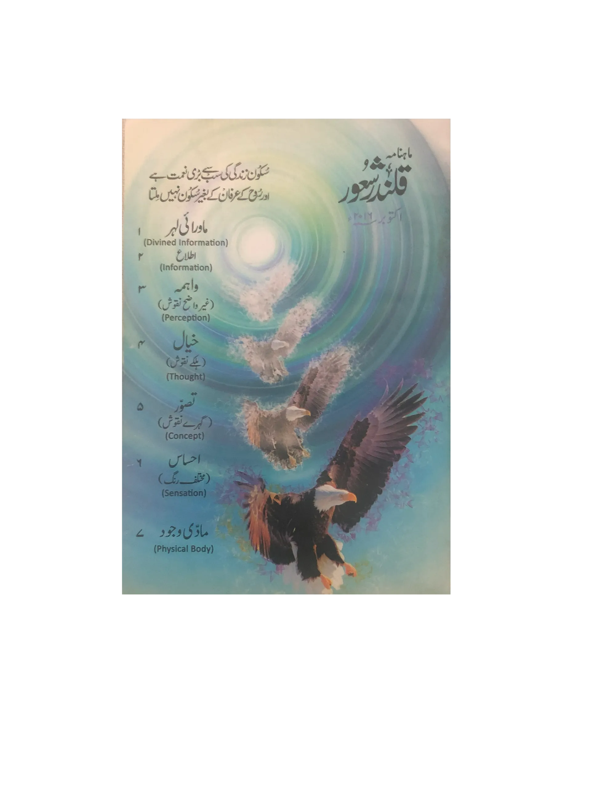 94 Issues of Monthly Qalandar Shaoor, Karachi (2013-2024, Urdu)