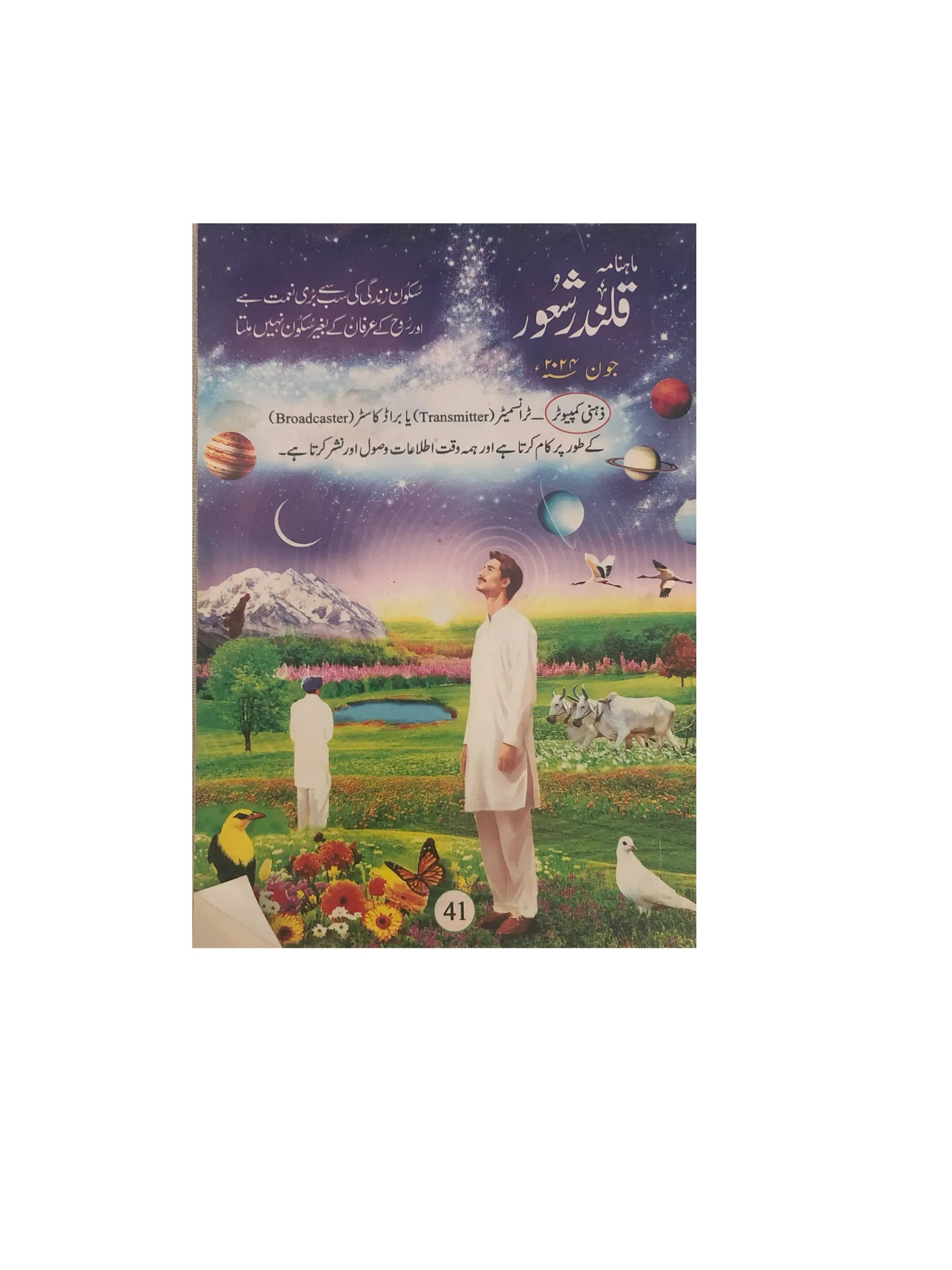 94 Issues of Monthly Qalandar Shaoor, Karachi (2013-2024, Urdu)